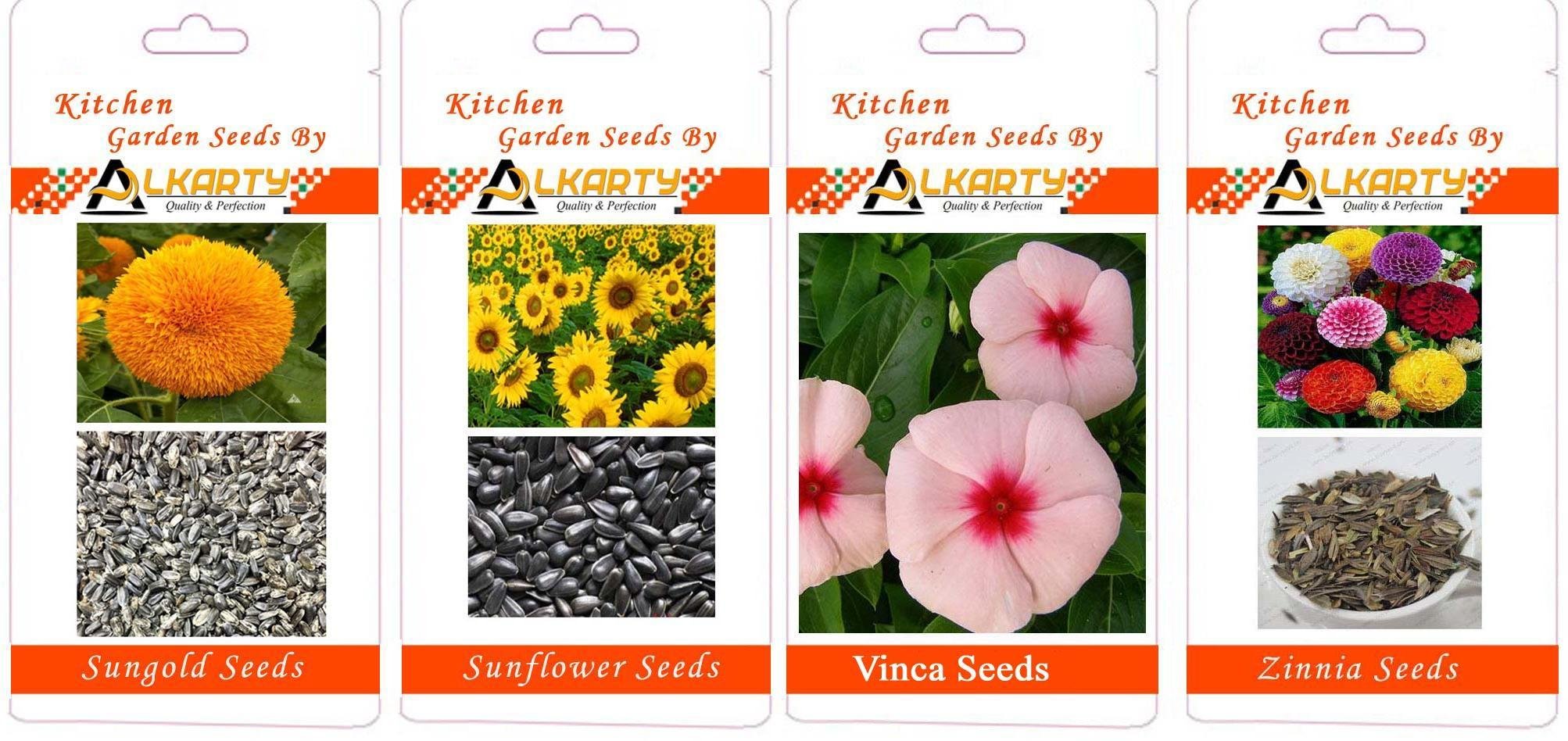 sungold, Sunflower, Vinca, Zinnia Summer Flower Seeds Pack of 20 Each-image-49