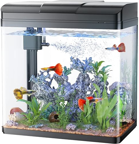 Miniatura 1 de PONDON Tanque de peces, acuario de vidrio de 3 galones con bomba de aire, luces LED frías y filtro, tanque de peces pequeño para kit de inicio de