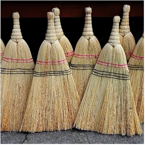 Miniatura 4 de Everwilde Farms - 50 semillas de maíz ornamentales de escoba orgánica - Paquete de bóveda dorada