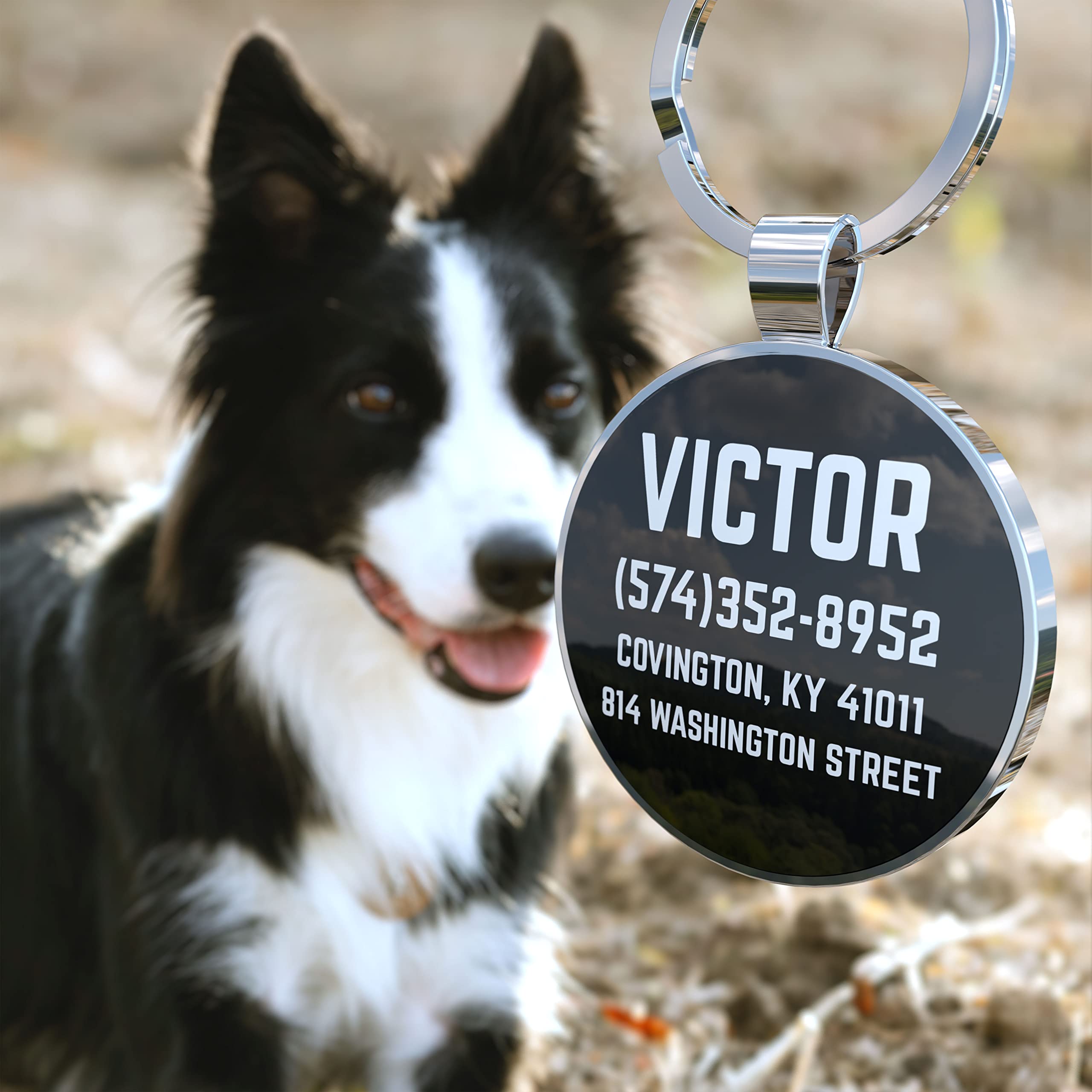 Targhette Personalizzate Per Cani E Gatti Con Nome E Numero Di Telefono - Foto 9