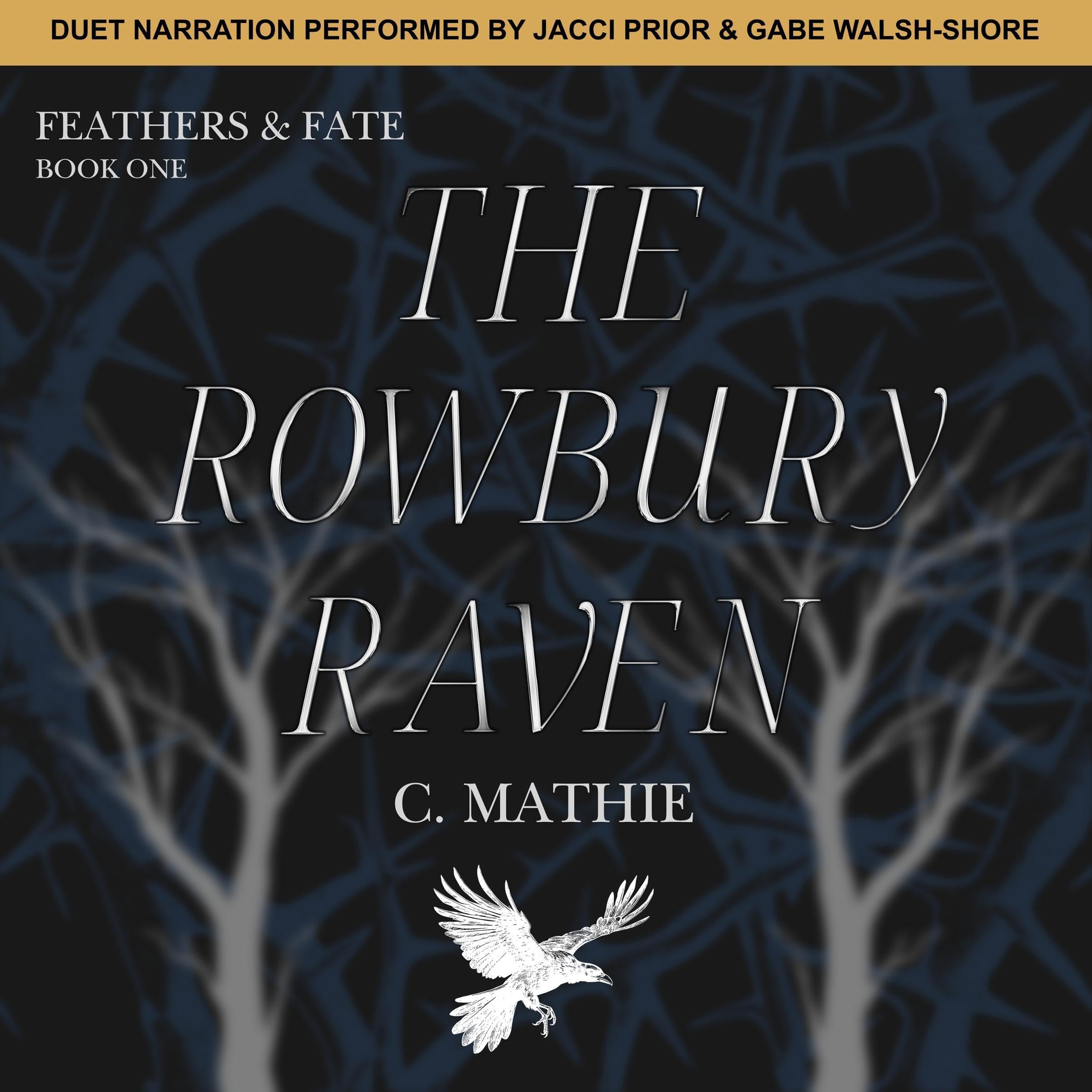 Cover art for The Rowbury Raven