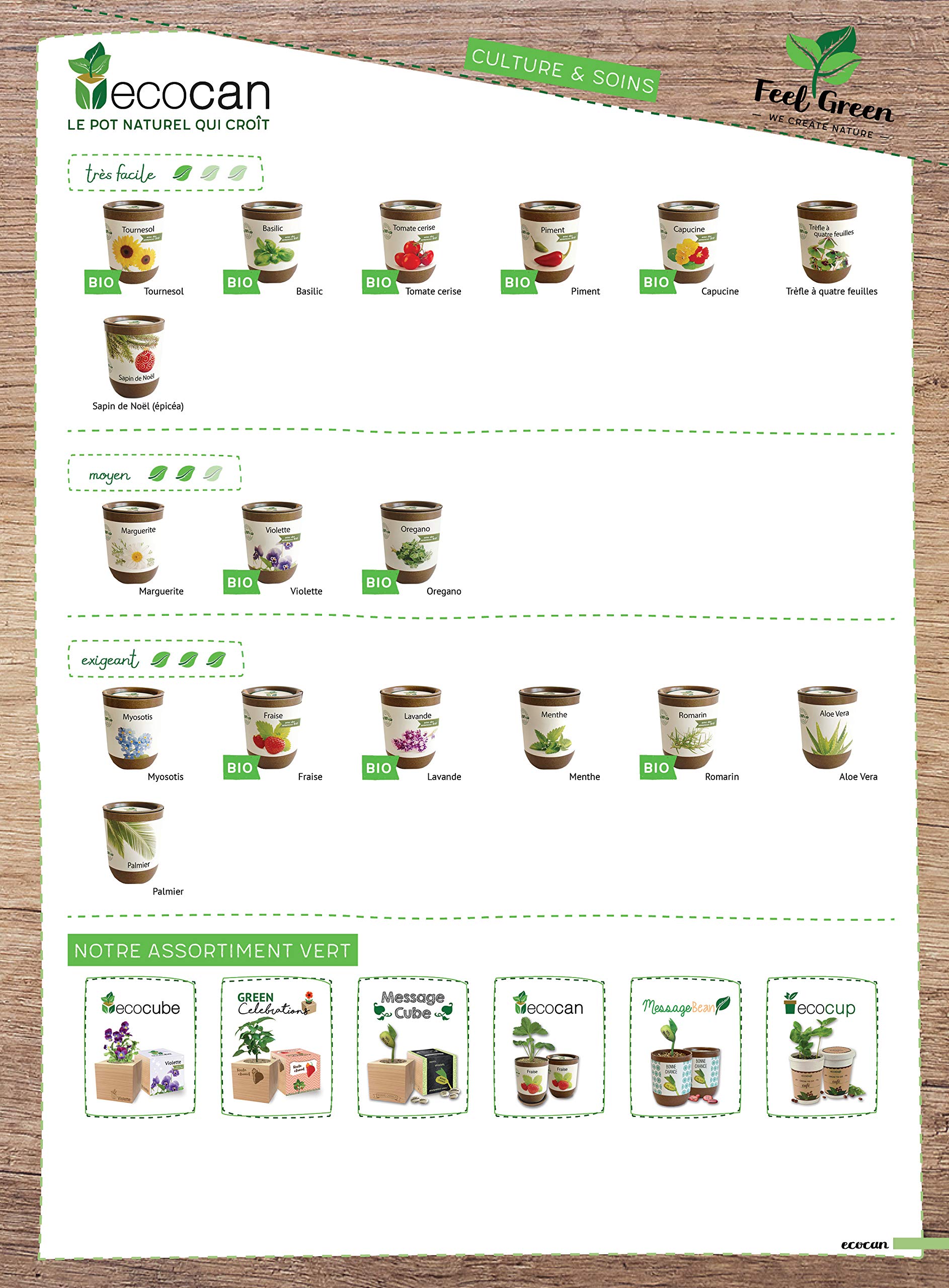 Feel Green Ecocan Trèfle À Quatre Feuilles 100% Biodégradable Kit Prêt-à-Pousser Le Pot Écologique 9 x 7 cm Produit en Autriche