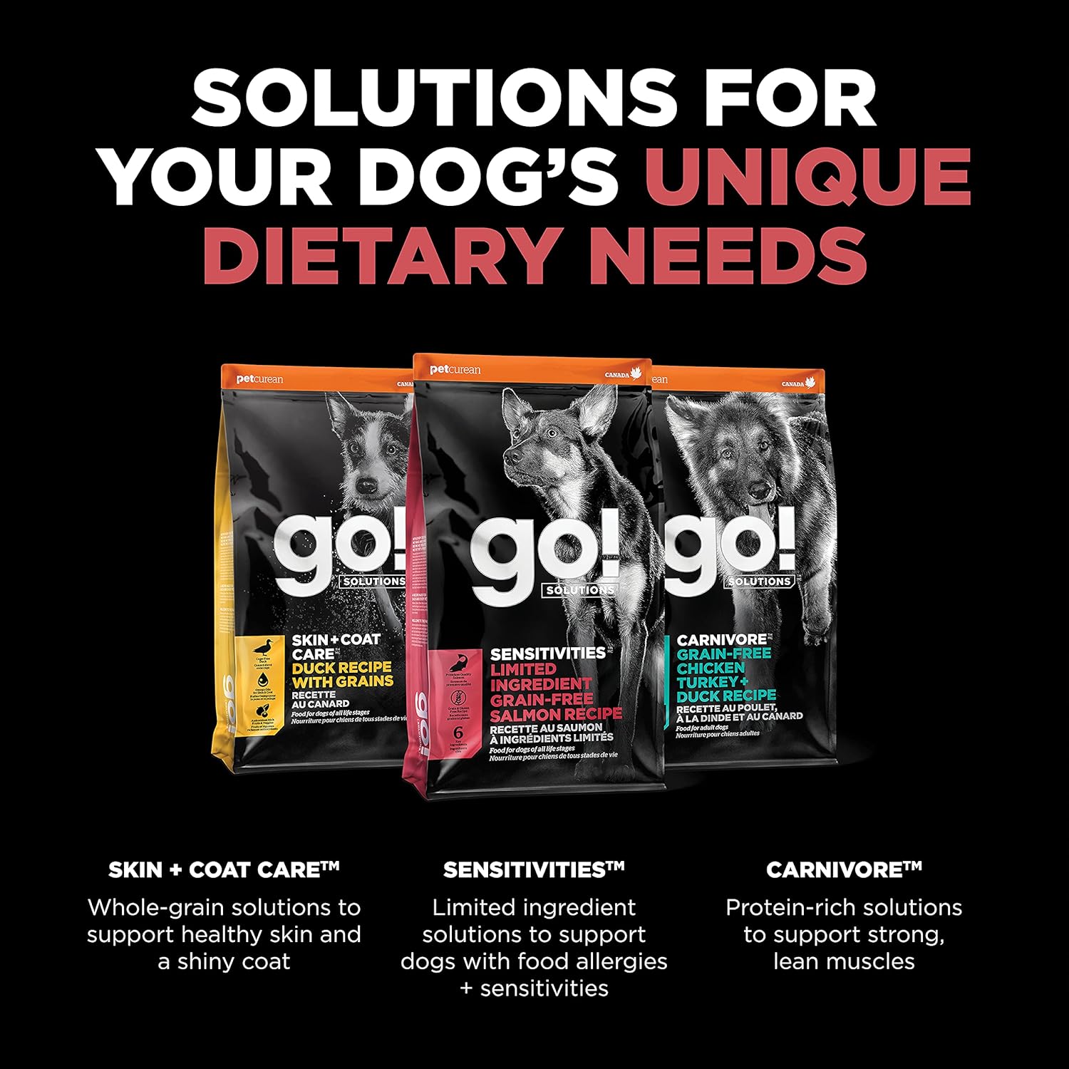 Go! Solutions Sensitivities Limited Ingredient Salmon Grain-Free Dry Dog Food, Chicken-Free Kibble Made by Experts for Sensitive Stomachs & Food Allergies, for Puppies, Adults, & Seniors, 22 lb Bag - Image 6