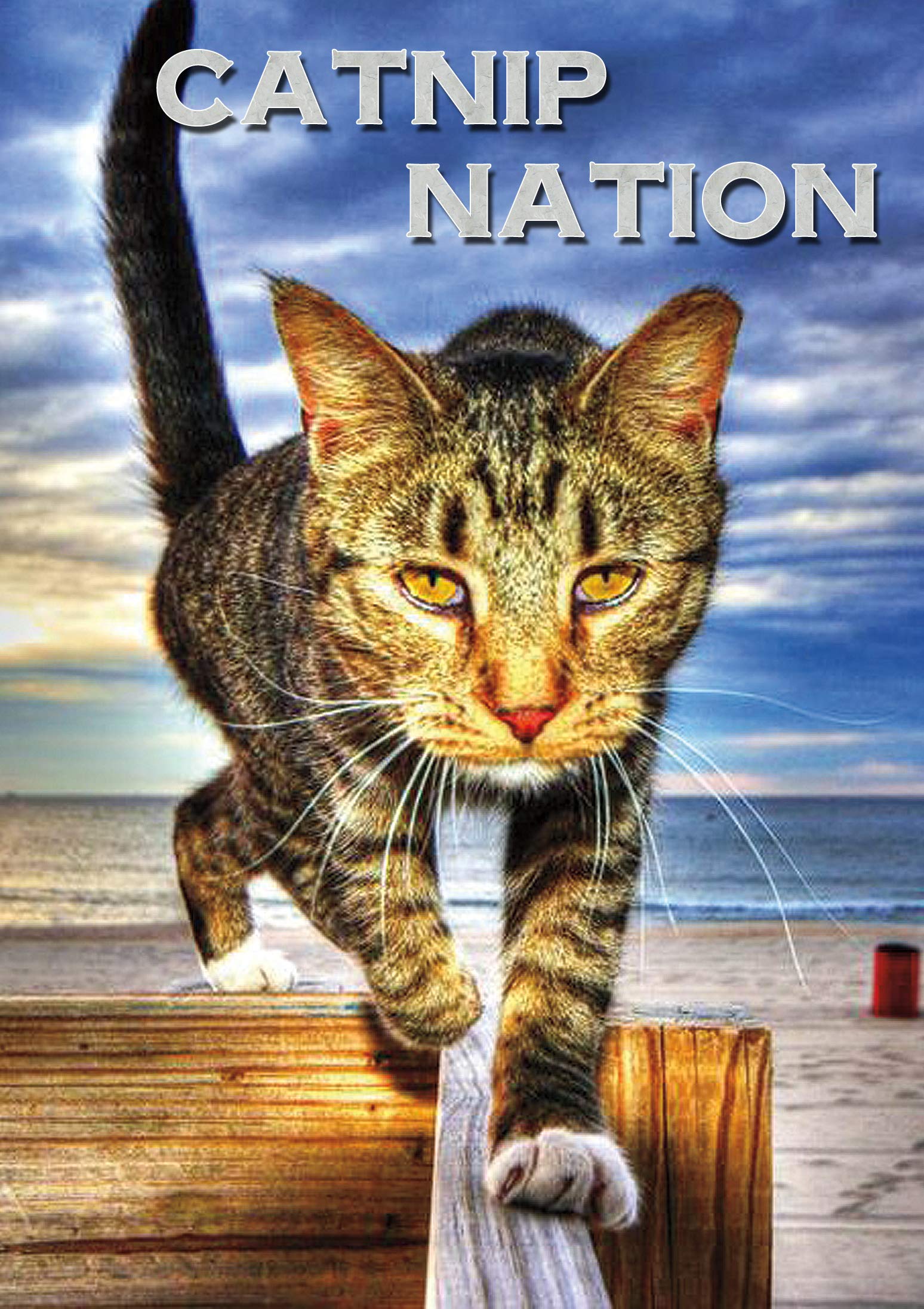 その他 Catnip Nation [DVD] 81mpMUHpTJL.jpg