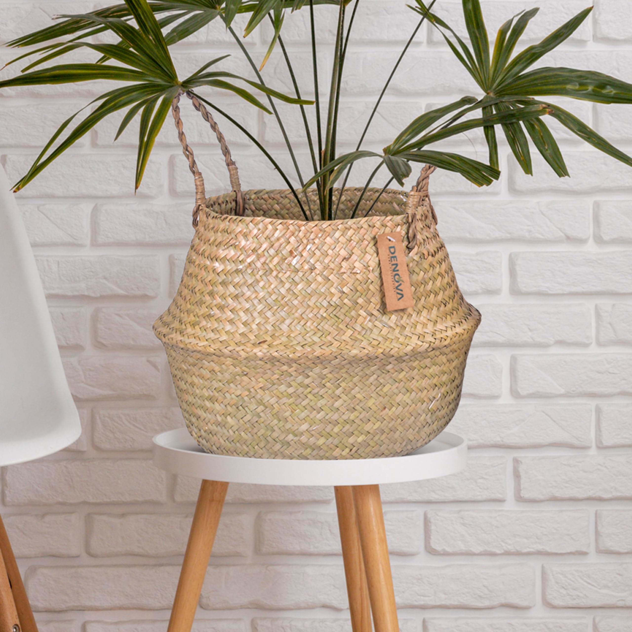 DENOVA Seagrass Belly Round Basket With Handles, Woven Planter Basket For Indoor Plant Flower Pot Outdoor Multipurpose Storage Organizer Medium, Natural (B0C9Q8489Q) Amazon Price History, Amazon Price Tracker