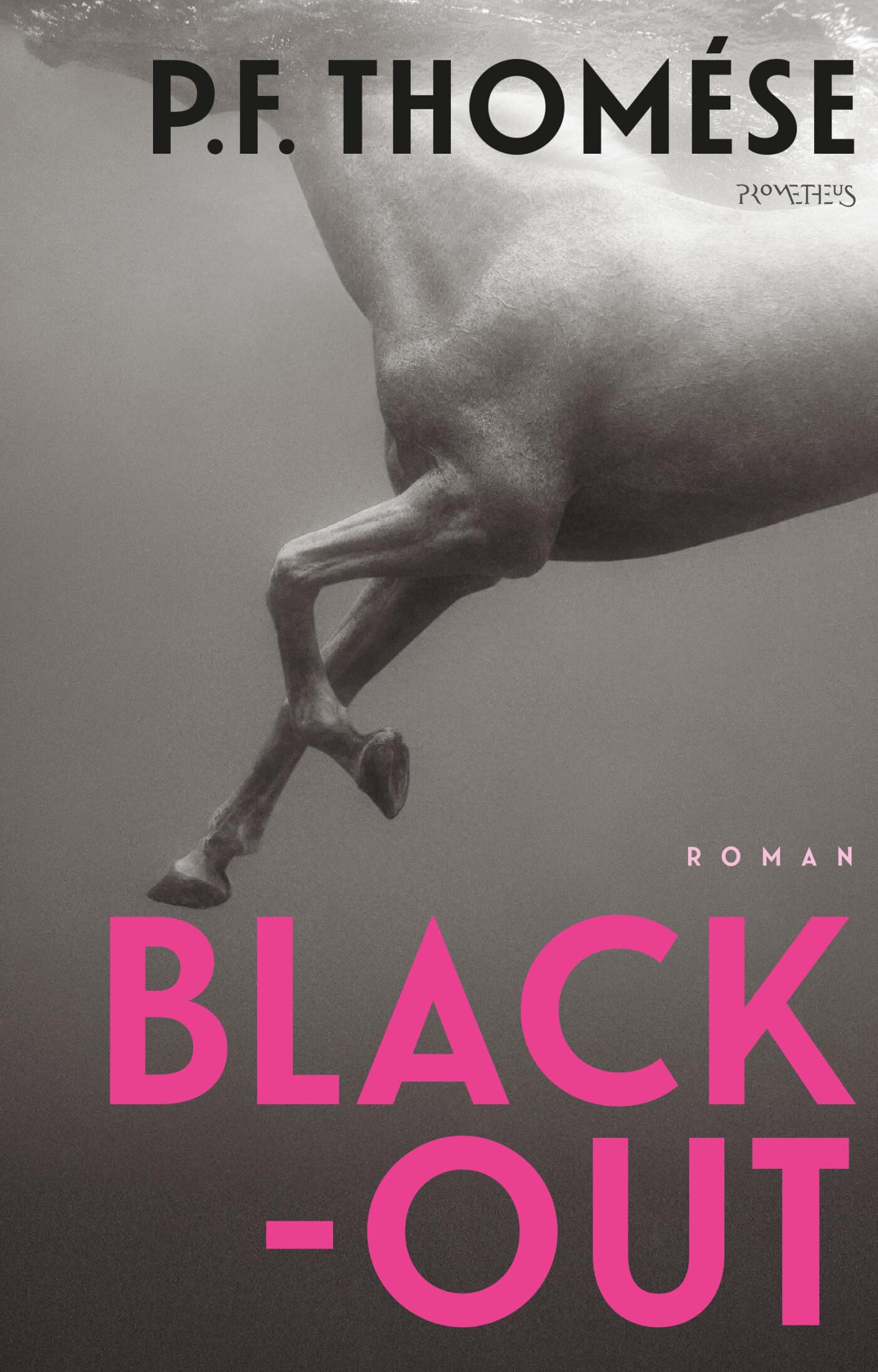 Black-out: roman