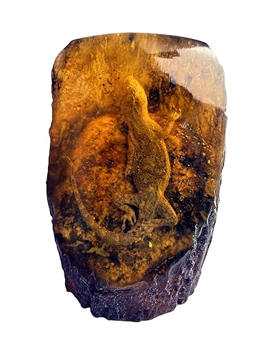 Adornos grandes de ámbar de resina, protolito, agujeros de gusano, especímenes de escorpión reales para adornos de oficina y hogar (lagarto de casa)