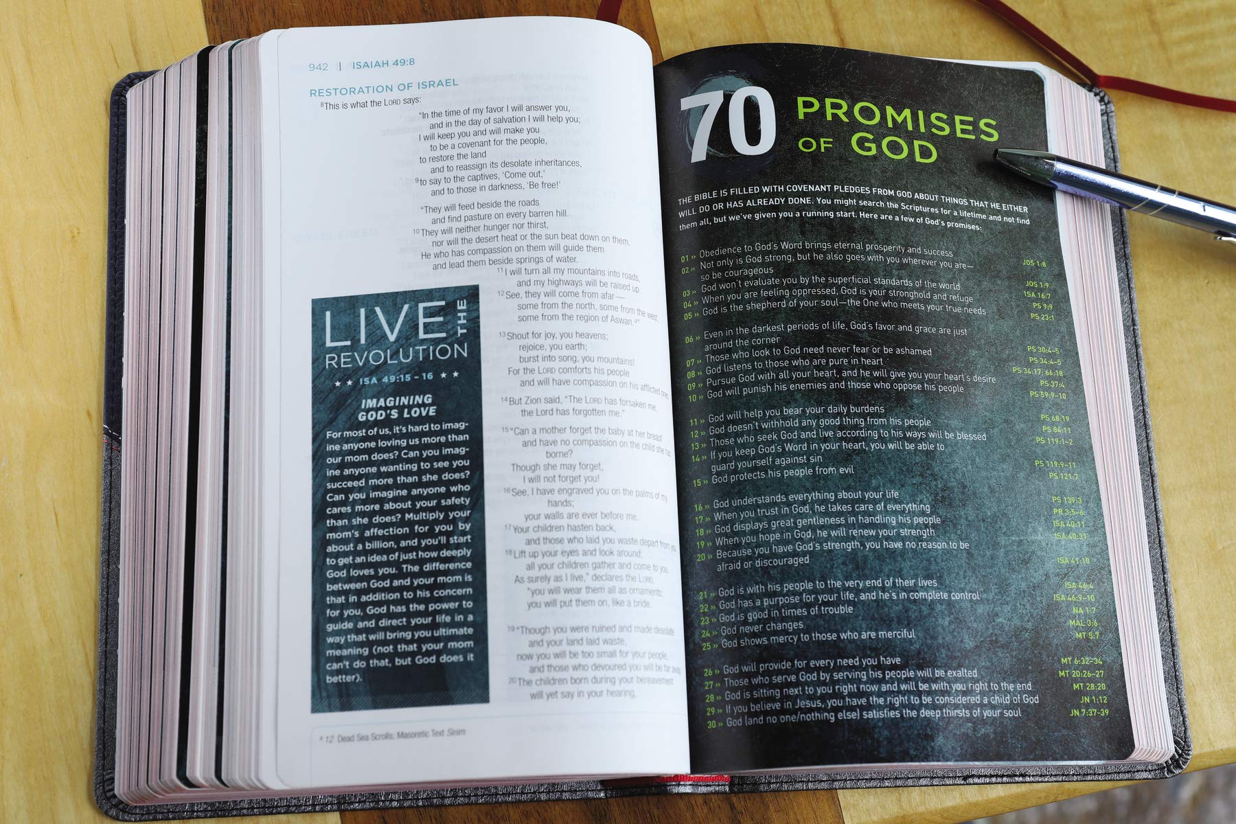 NIV Revolution the Bible for Teen Guys: New International Version, Gray/Navy, Leathersoft