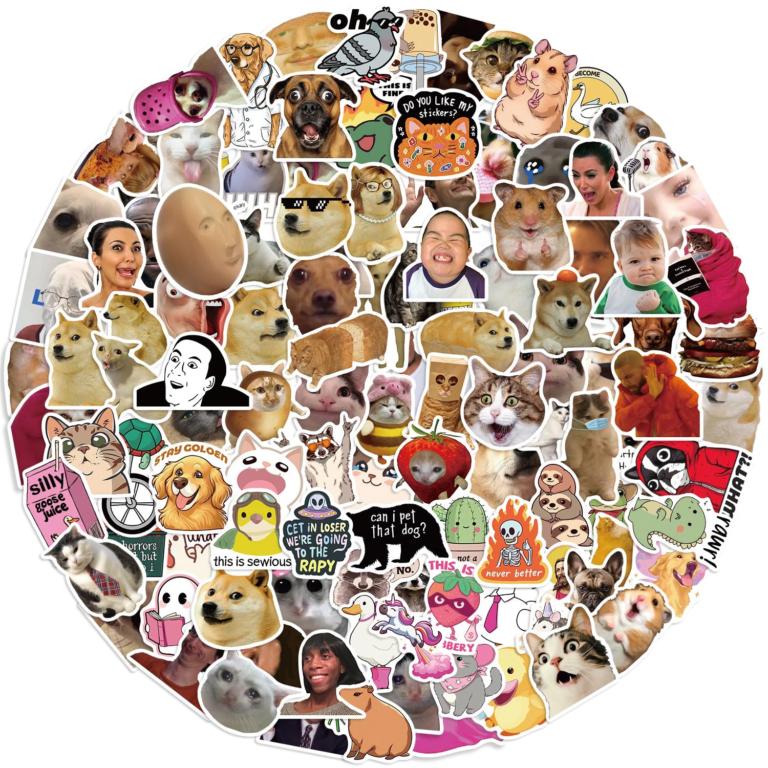300Pcs Funny Meme Stickers,Meme Graffiti Stickers,Vinyl Waterproof Decals for Adult,for Phone Laptop Water Bottles Skateboard Computer Phone Luggage Guitar Car
