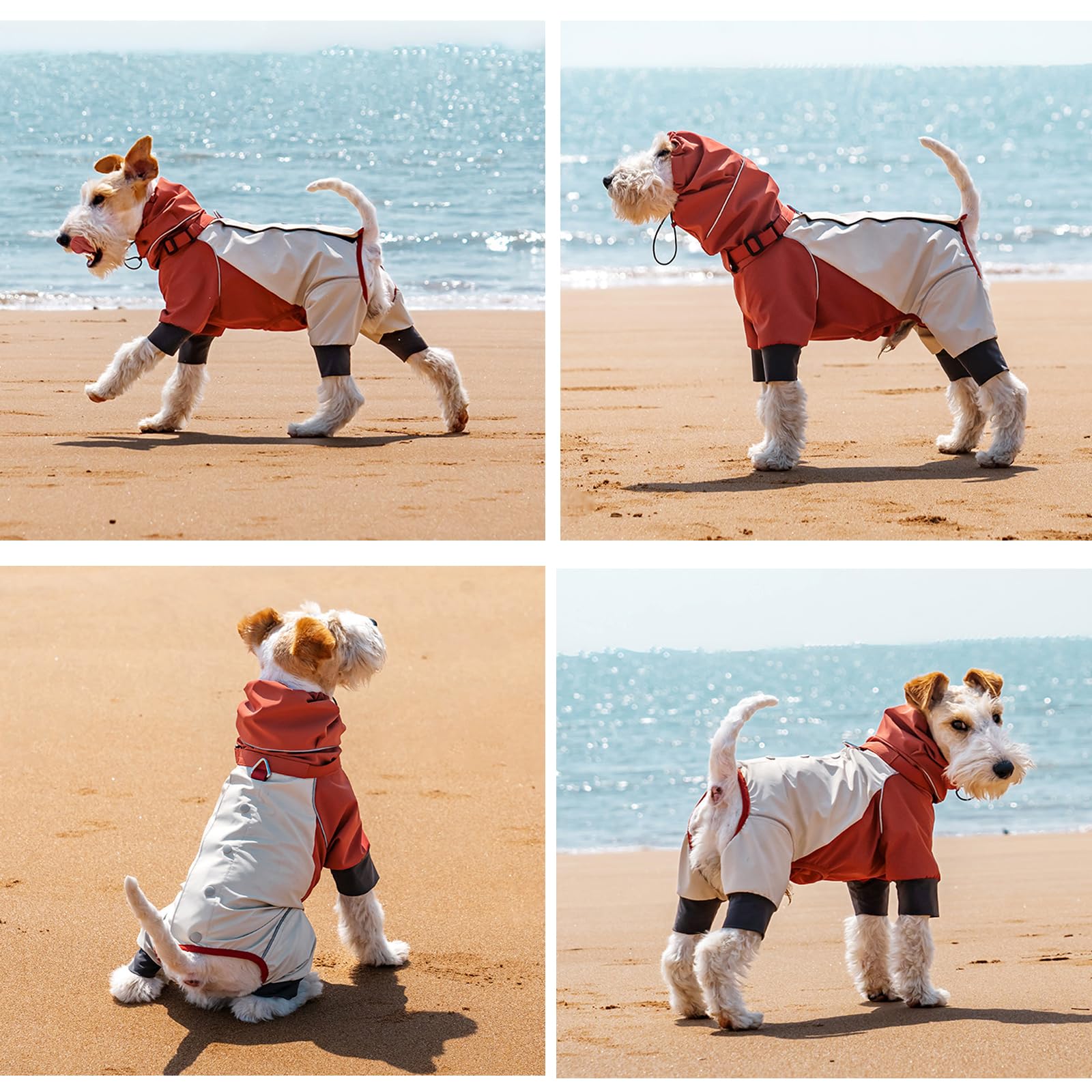 Manteau de pluie à 4 pattes pour chien, durable, léger, imperméable, coupe-vent, à col haut réfléchissant avec trou pour laisse, pour chiens de petite et moyenne taille, schnauzer, braque de Weimar
