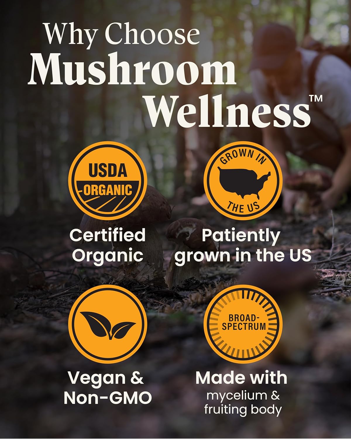 Mushroom Wellness Lion’s Mane Blend with Reishi: Organic Lion's Mane & Reishi Mushroom Capsules, Mushroom Powder Supplement, Supports Cognitive Health, Memory, and Mental Focus, 90 Vegan Capsules - Image 5