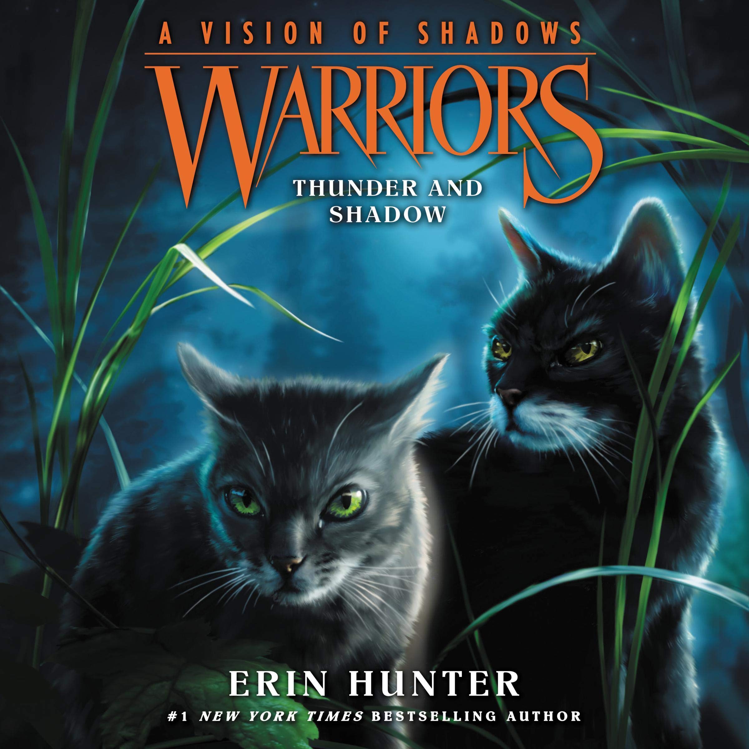 Thunder and Shadow: Warriors: A Vision of Shadows, Book 2