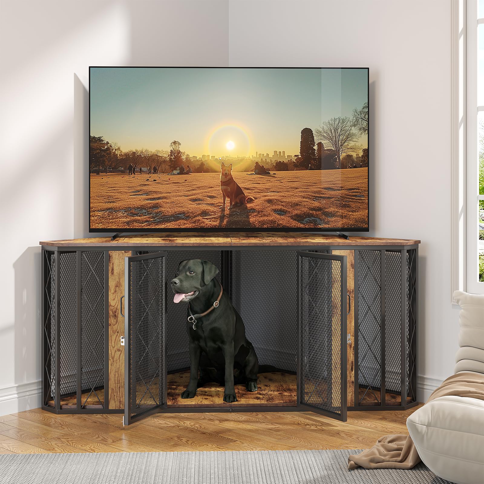 https://m.media-amazon.com/images/I/81mpwfKUk3L.jpg