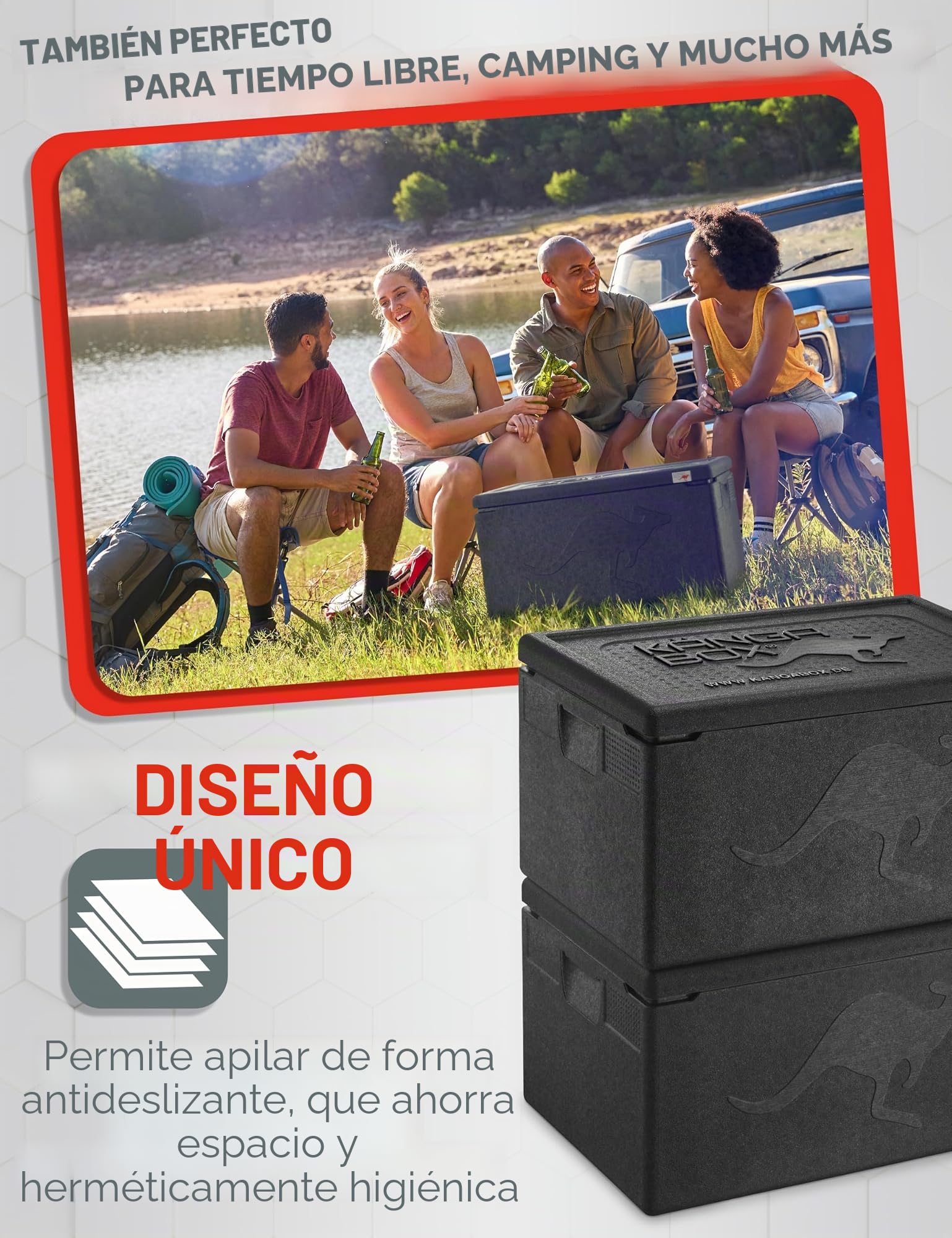 Professional. La Caja isotérmica con un Interior Liso y Tapa Cerrando Perfectamente.