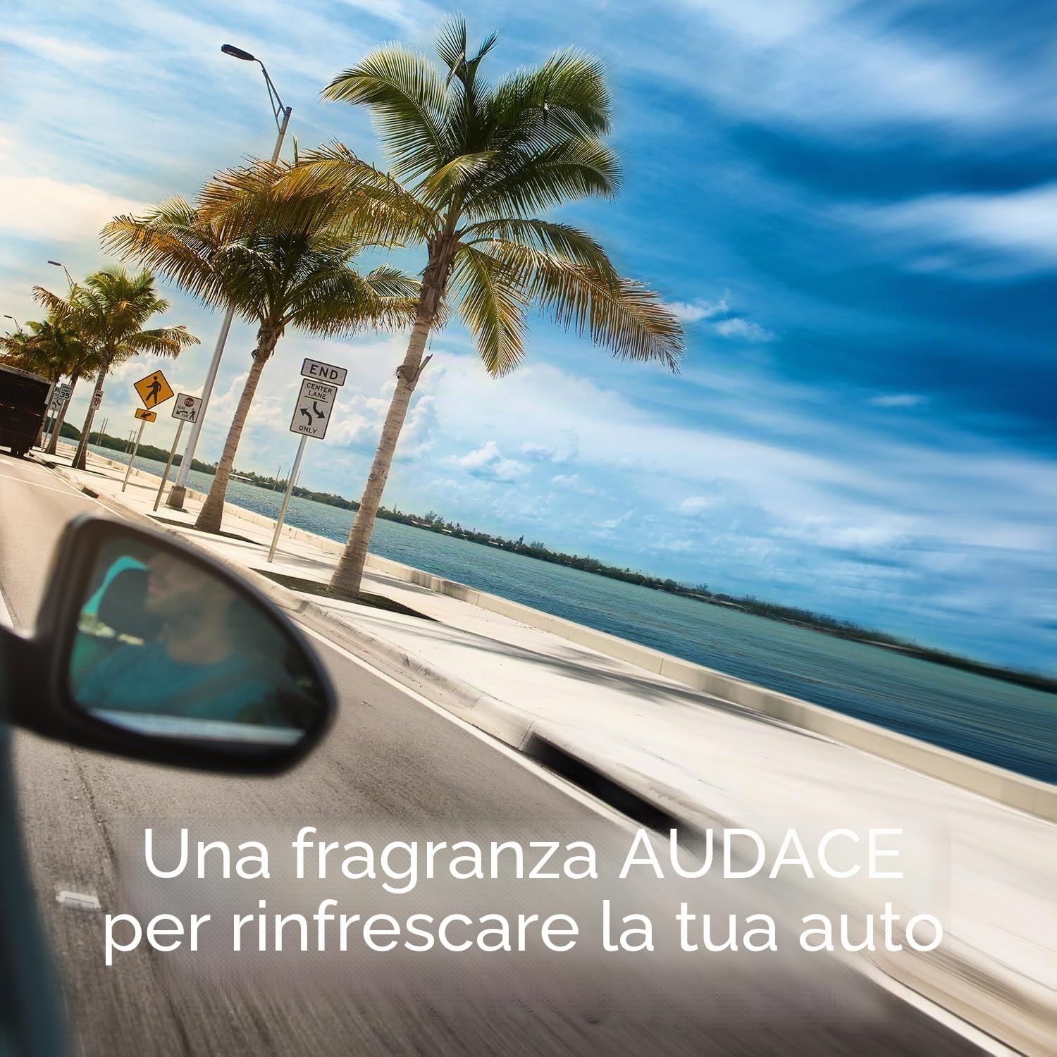 California Car Scents CCSCCx12 Deodoranti per Ambienti, fragranza “Coronado Cherry”, Adatti per casa, furgoni, Ufficio e Taxi, 12 Pezzi