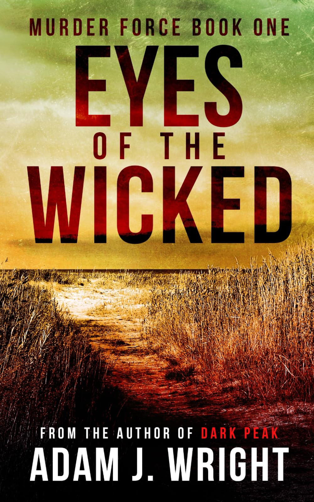 Eyes of the Wicked: A Murder Force Crime Thriller