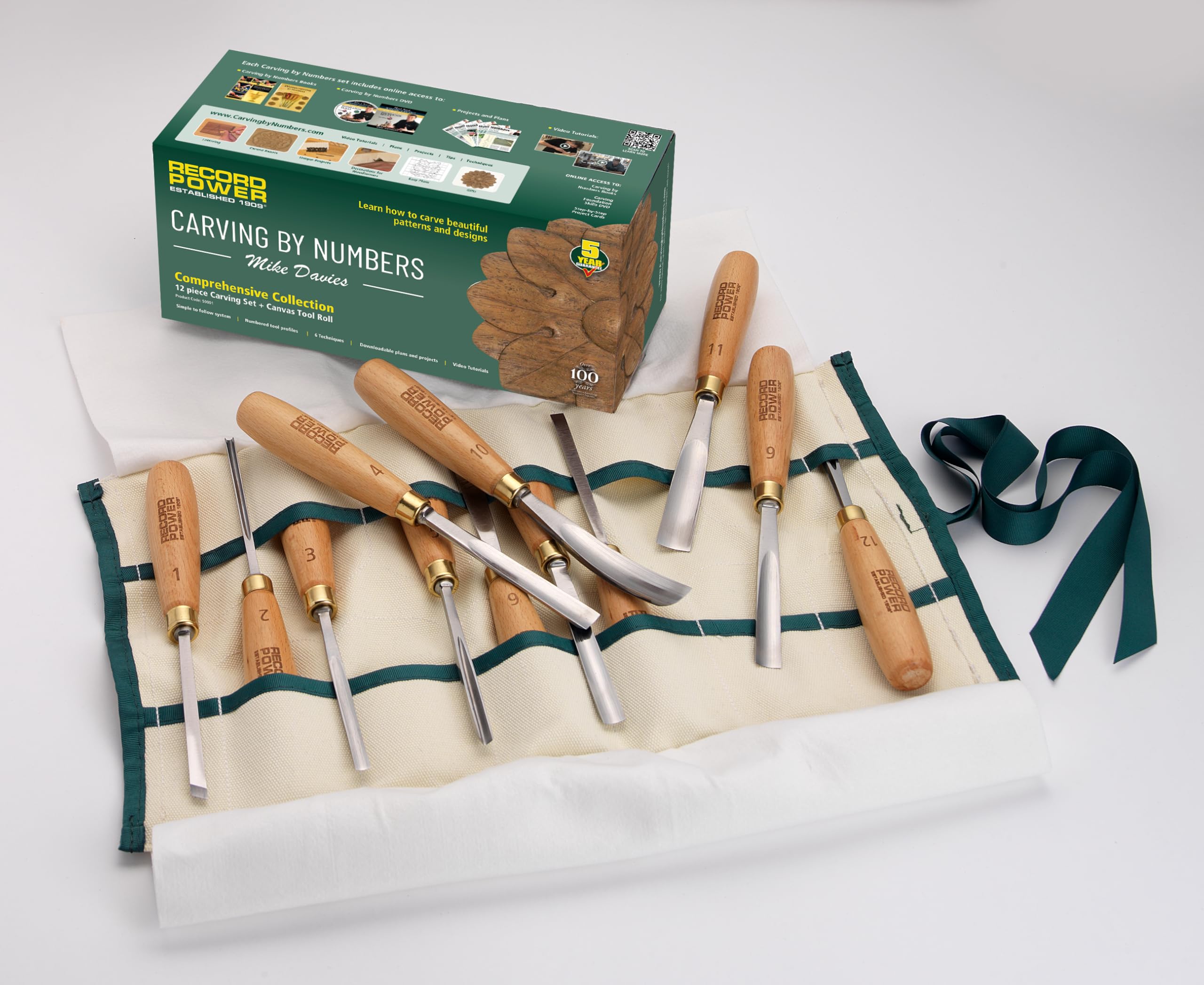 Amazon.com: Record Power 12-Piece Wood Carving Tool Set – Beech