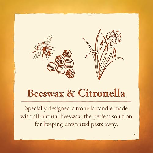 Miniatura 9 de Repuesto de 80 horas Candle by the Hour