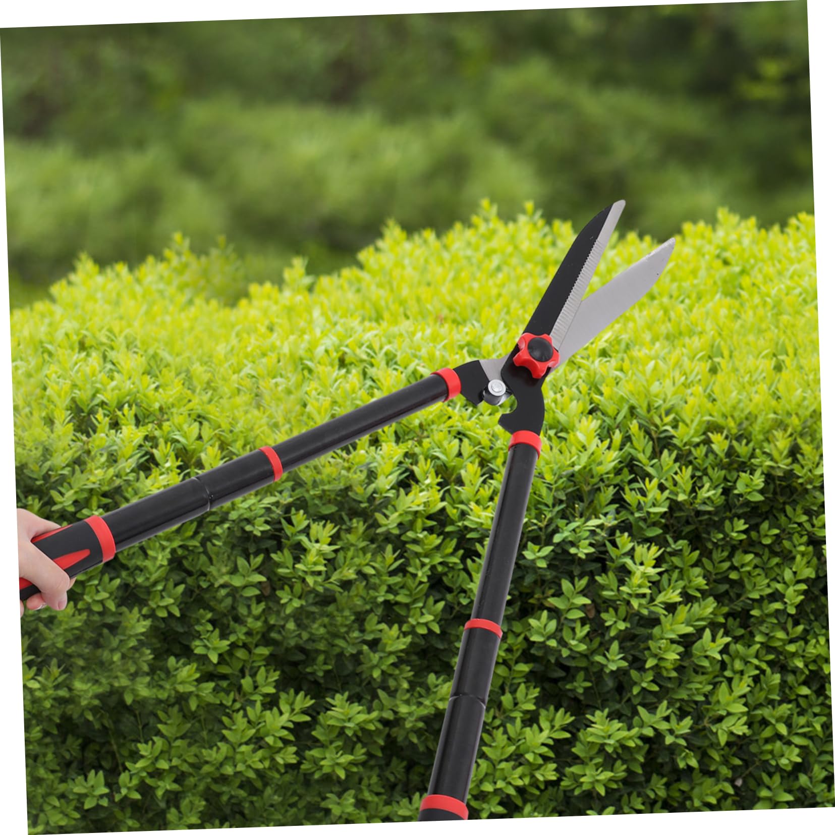 HEMOTON Cesoi Per Potatura Attrezzi Da Giardinaggio Per Siepi Cesoie Manuali Per Arbusti e Piante Ornamentali Realizzate in Acciaio e Gomma Impugnature Ergonomiche Antiscivolo