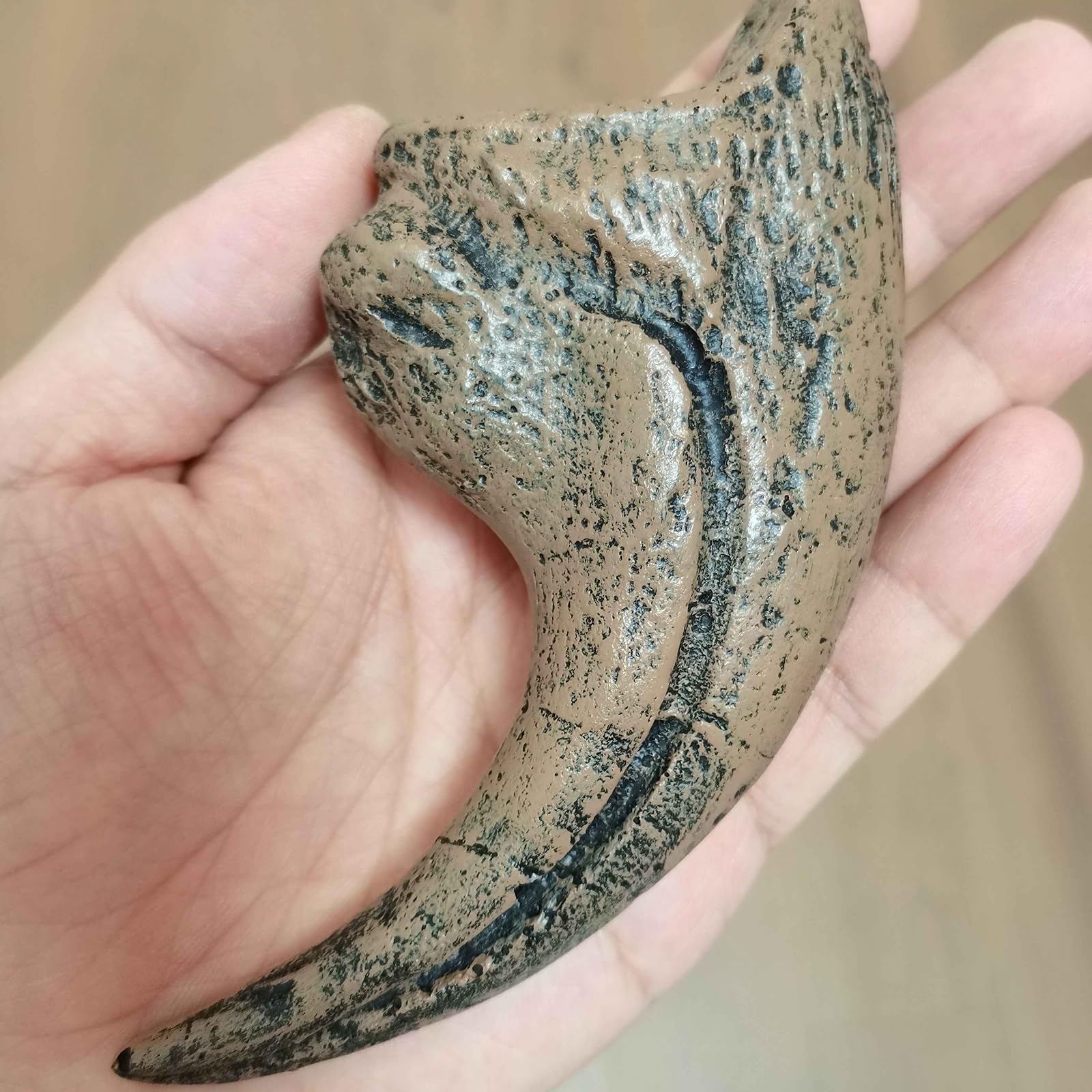 Velociraptor Dinosaurio Tamaño Natural Garra Fósil Réplica Dinosaurio Réplica Fósil Decoración para Casa Oficina Decoración Artesanía Enseñanza Prop