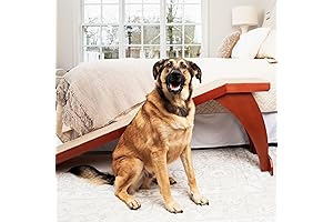 CozyUp Bed Ramp for Petsafe Happy Ride - Easy Access for Small Dogs and Cats