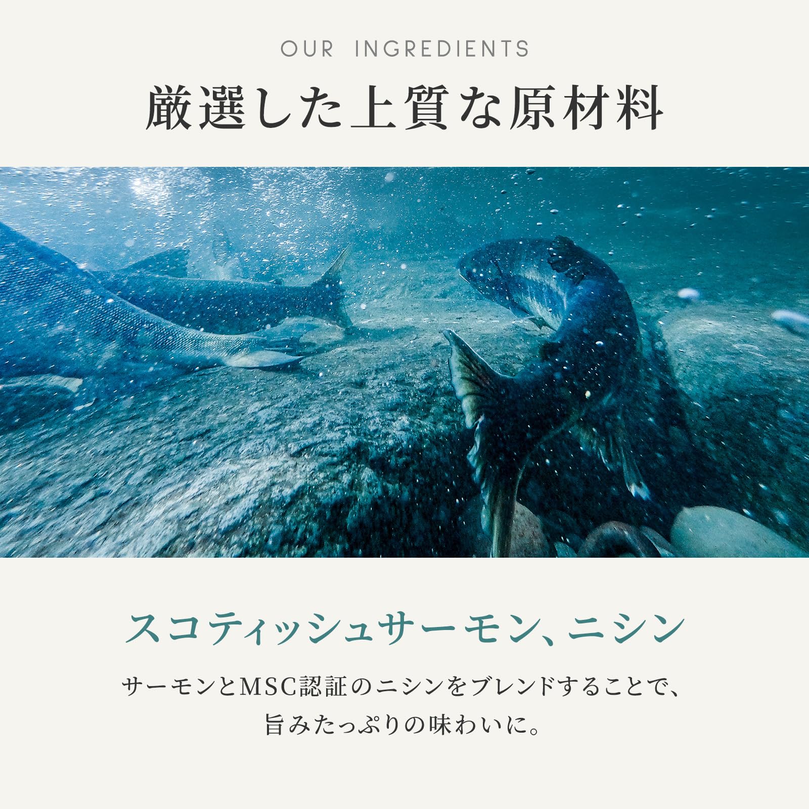 Amazon.co.jp: カナガン ドッグフード サーモン＆ニシン 缶詰