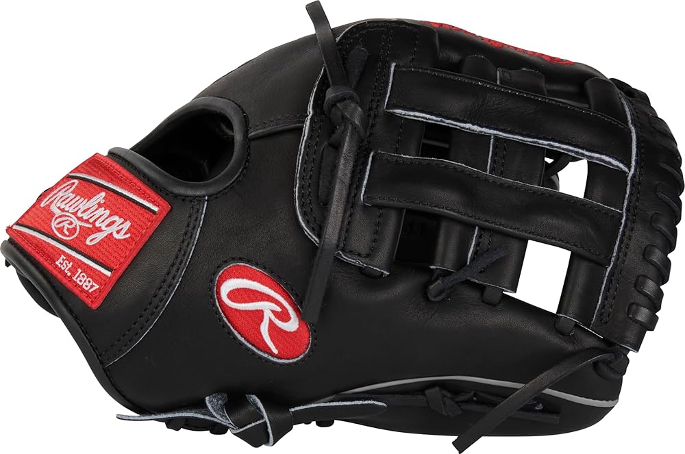 Amazon | Rawlings | HEART OF THE HIDE TRADITIONAL Baseball Glove