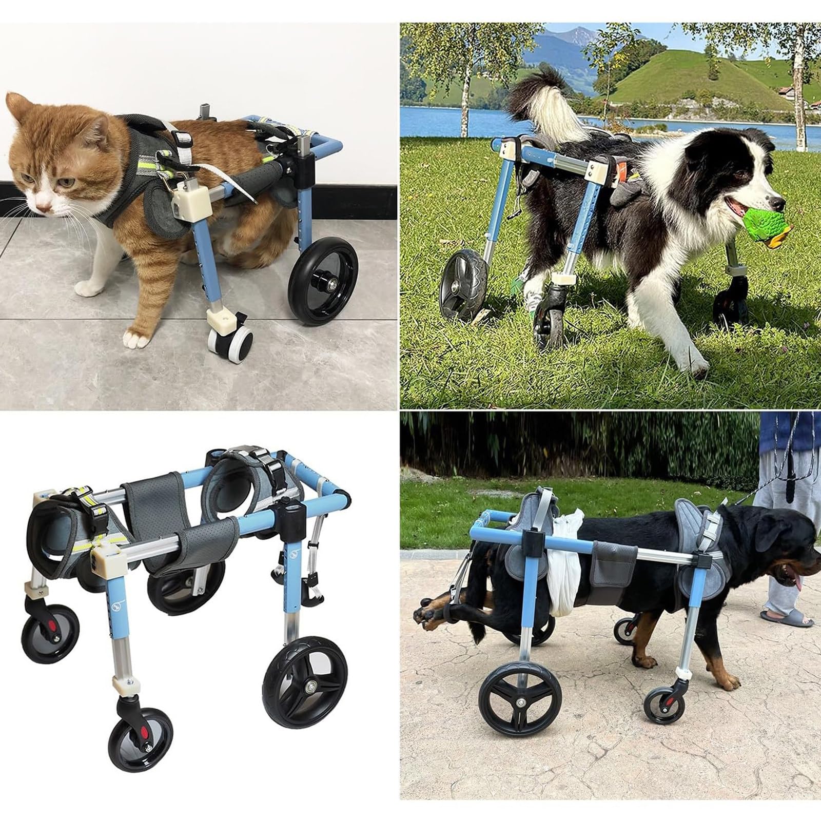 Mothdust Carrellino per Cani 4 Ruote Lunghezza Larghezza Altezza Regolabile Supporto Corpo Completo per Cani Disabili Paralizzati Anziani Riabilitazione Assistenza Mobilita Carrello(M)