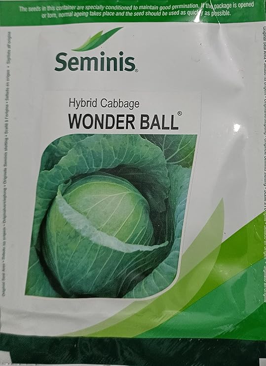 Seminis Wonder Ball hybrid cabbage seed Amazon.in Garden & Outdoors