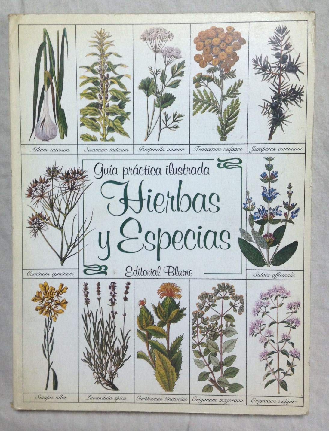 Hierbas y especias. Guía práctica ilustrada