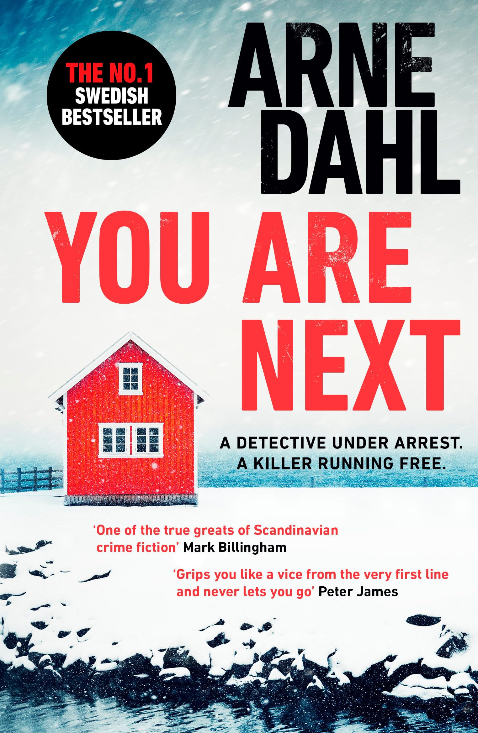 You Are Next by Arne Dahl (Paperback Book)