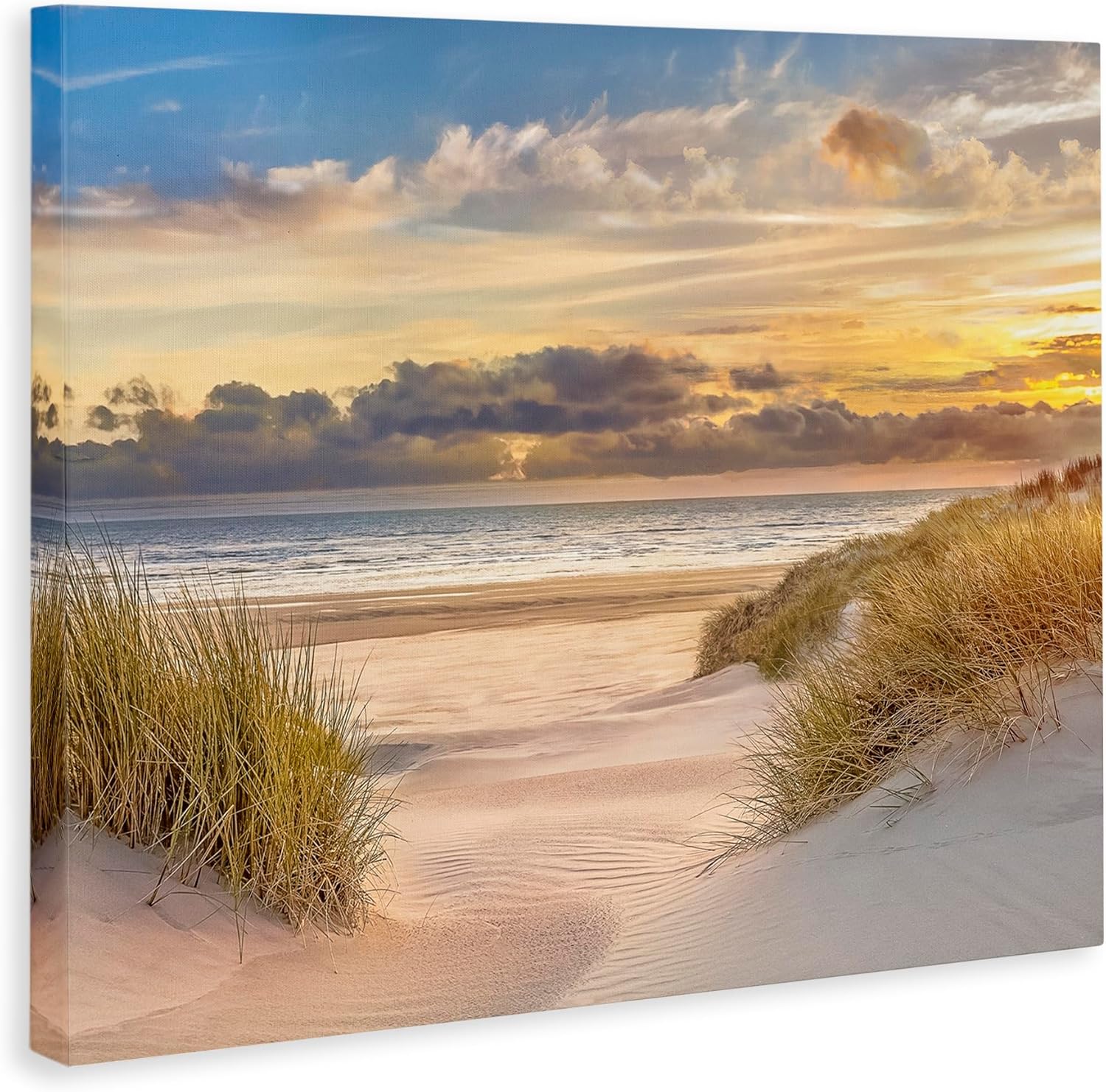 Stupell Industries Serene Beach Between Dunes Canvas Wall Art, design by Mike Calascibetta, 20 x 16
