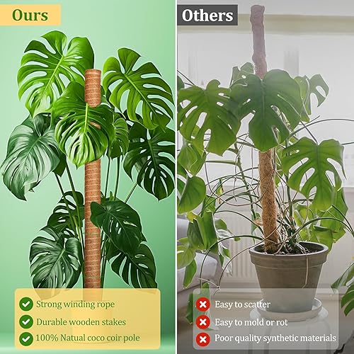 Miniatura 5 de YAUNGEL Poste de musgo, 4 piezas de poste de musgo de 16 pulgadas, soporte para plantas Monstera, poste de musgo para plantas, poste de fibra de