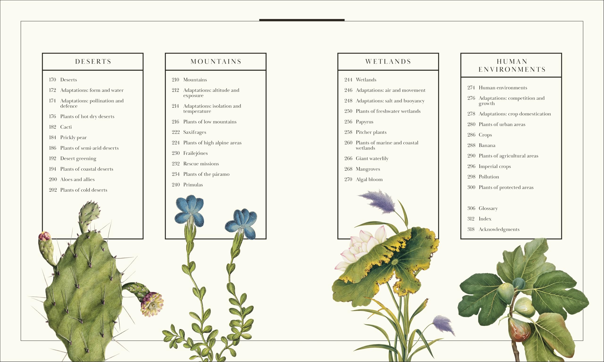 Atlas of Botany: An Exploration of Plants Across Time and Around the World
