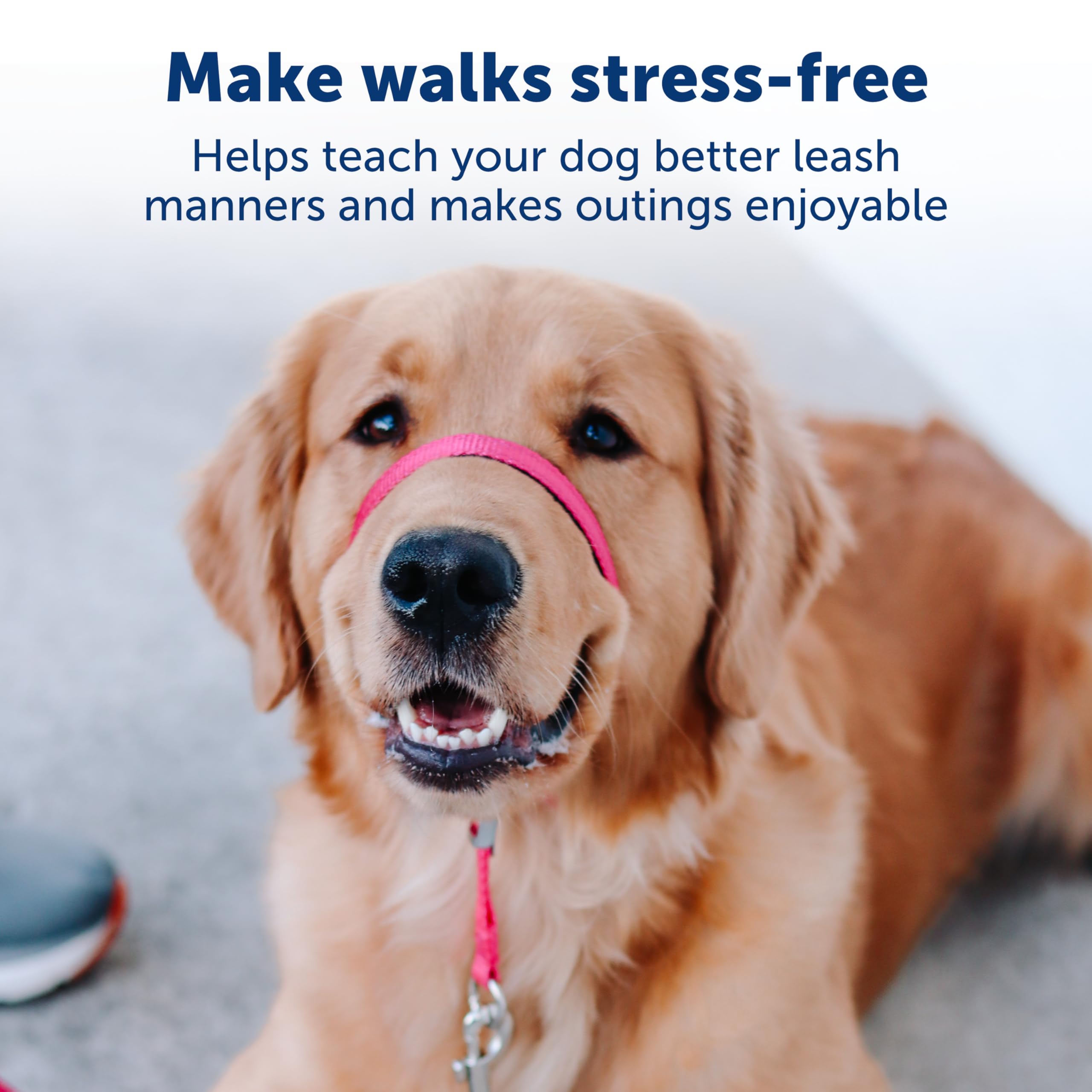 PetSafe - pettorina Easy Walk