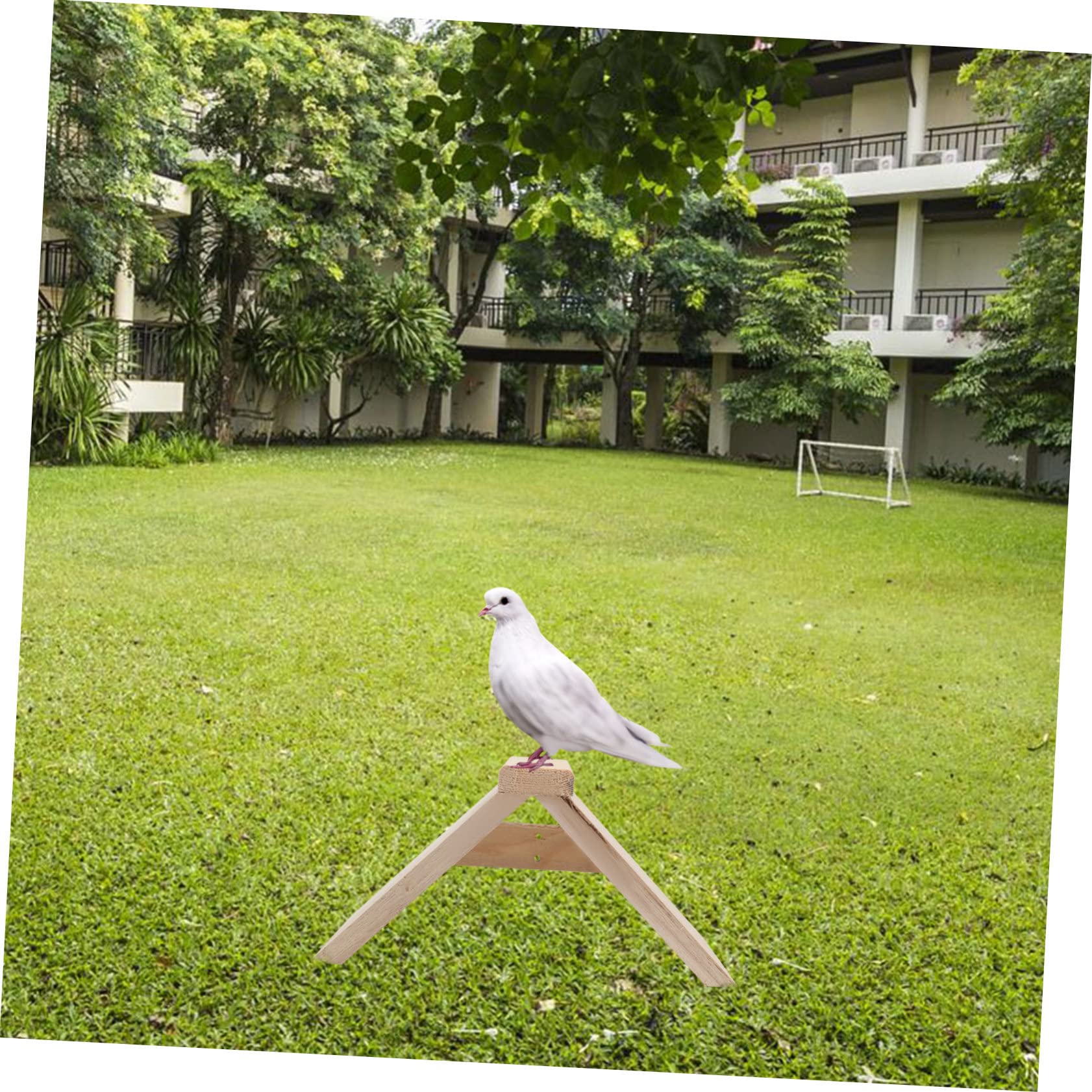 balacoo Lot de 2 perchoirs en bois pour pigeons, perchoirs en bois durable pour colombe hirondelle