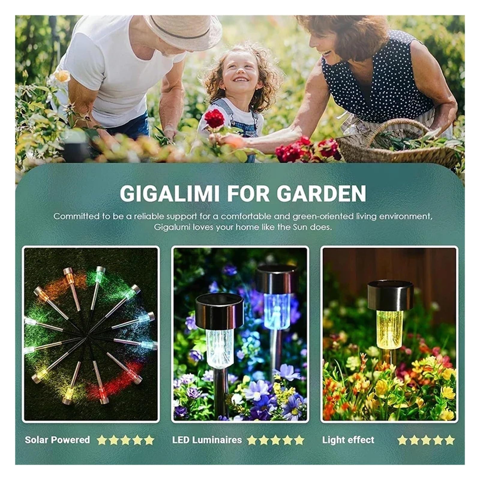 Luces Solares For Exteriores, De Jardín, Lámpara Alimentada Por Energía Solar, Linterna, Iluminación Paisaje Impermeable, Camino, Patio, Decoración Luminoso Y Elegante(Black Shell-Warm,20Pcs)