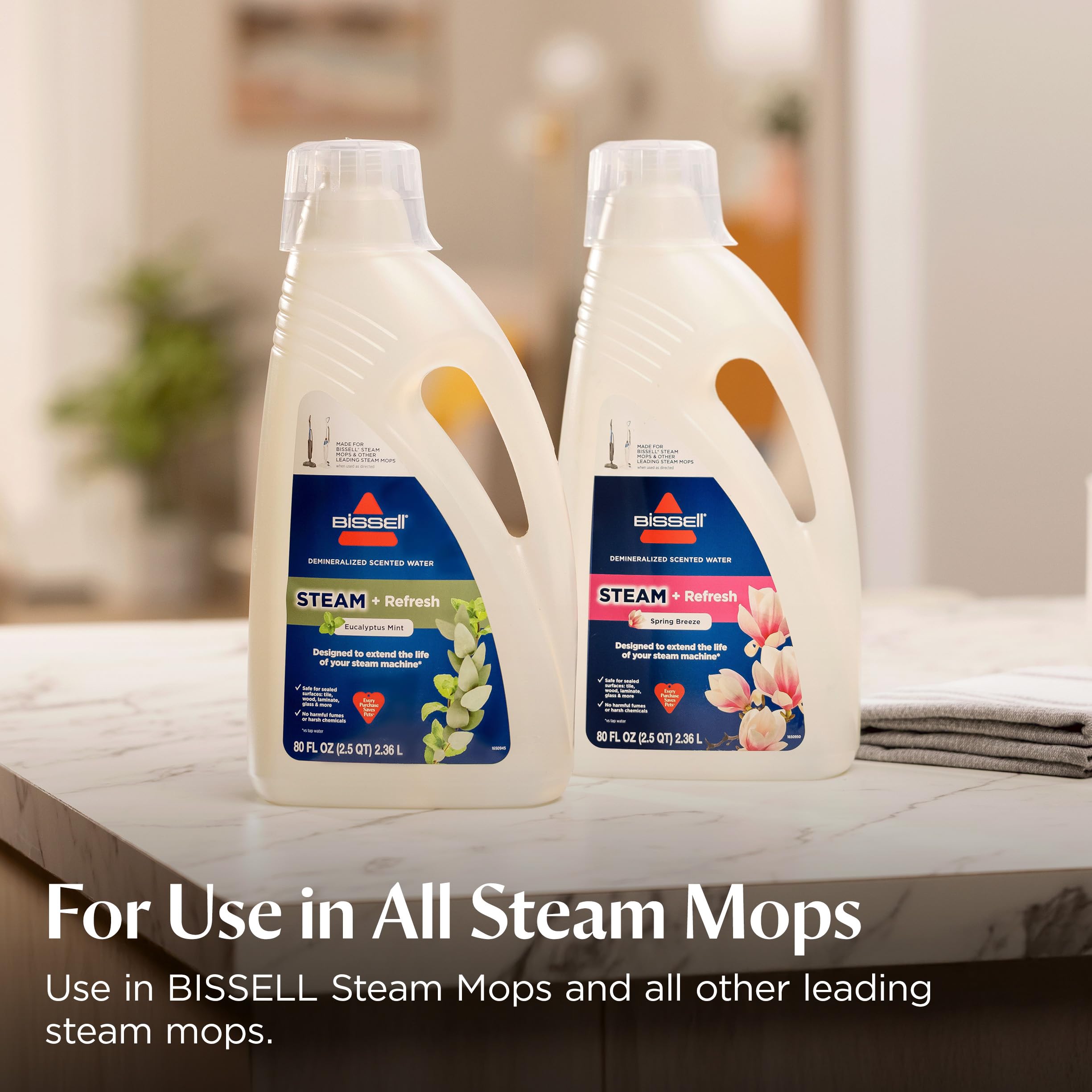 https://m.media-amazon.com/images/I/81mrH8-yDlL.jpg