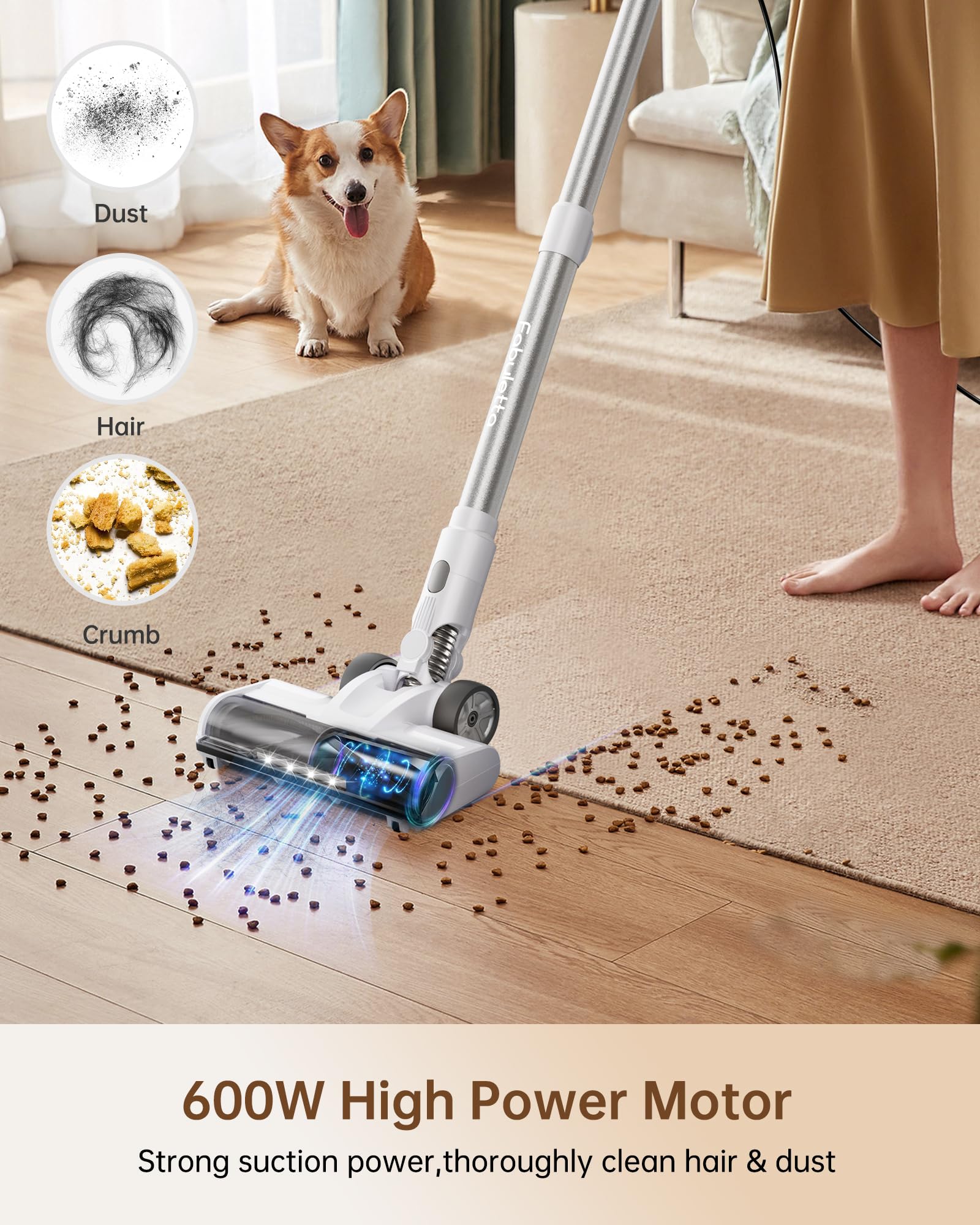 https://m.media-amazon.com/images/I/81mrP+a5CxL.jpg