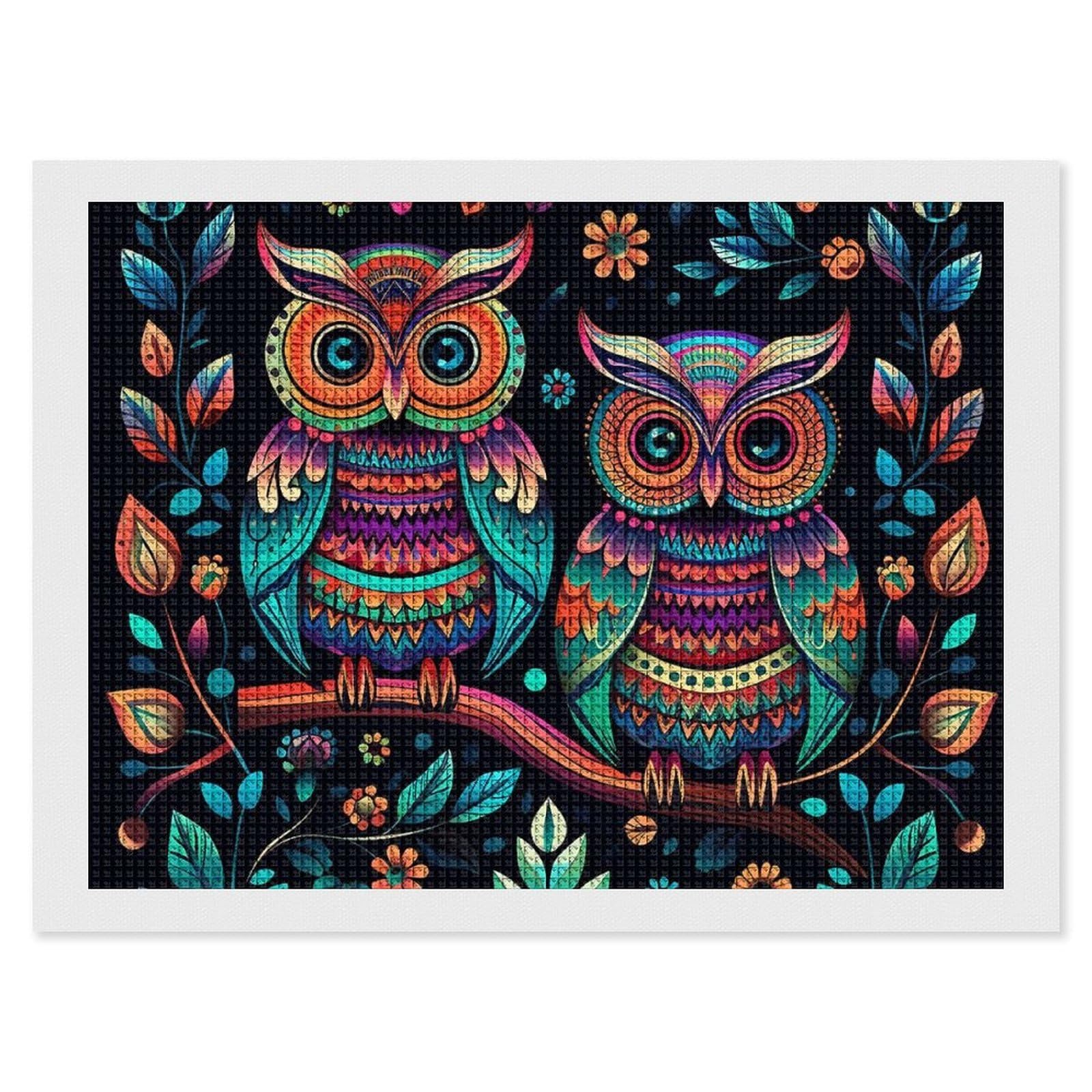 Colorful Owl Pictures Diamond Art Kits for Adults, DIY 5D Diamonds Painting Kits for Beginner, Round Full Drill Diamond Dots Painting, 12"x16" Diamonds Pictures Gem Art and Crafts Wall Decor