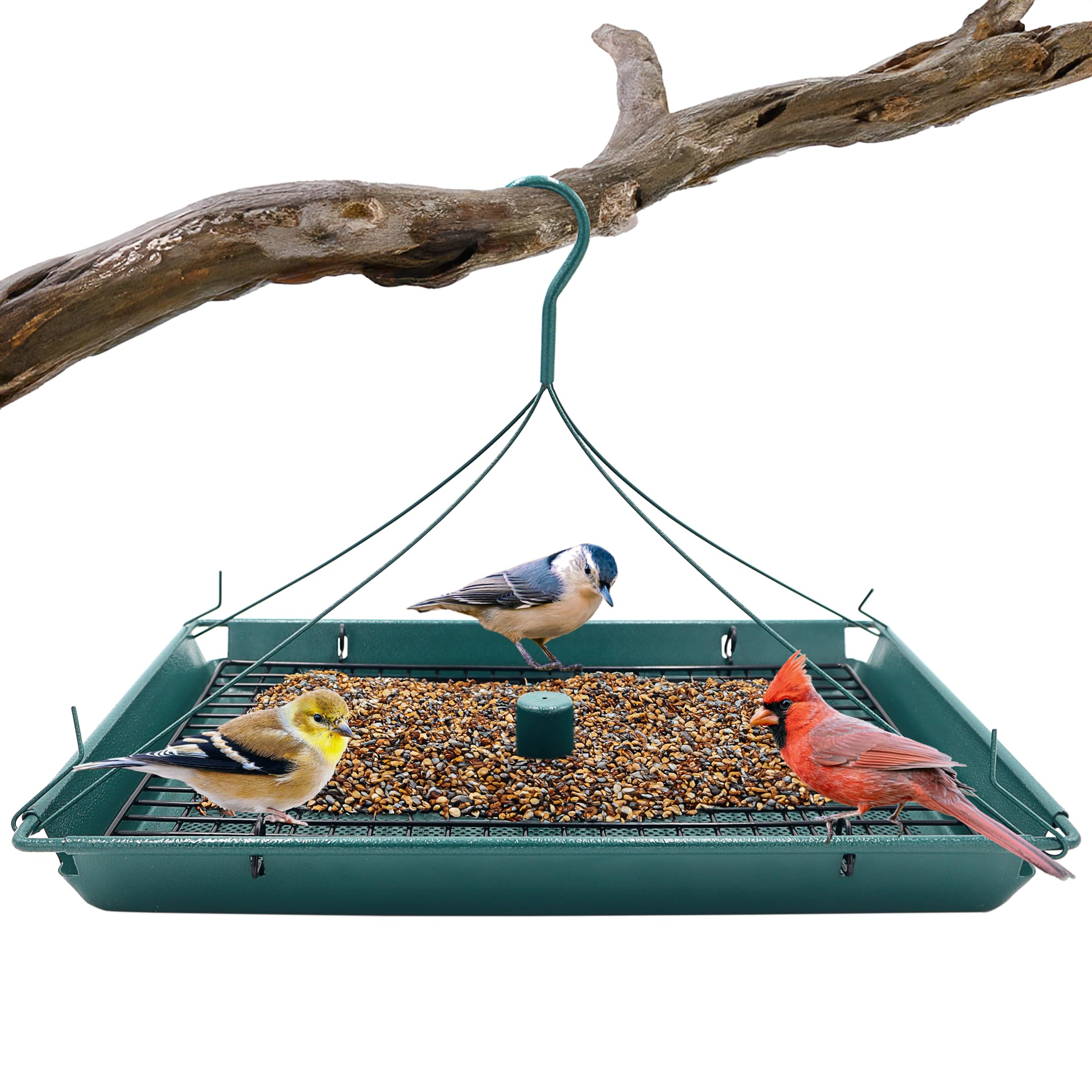 Amazon.com : Zenport Z203009 2-in-1 Platform Bird Feeder, Post