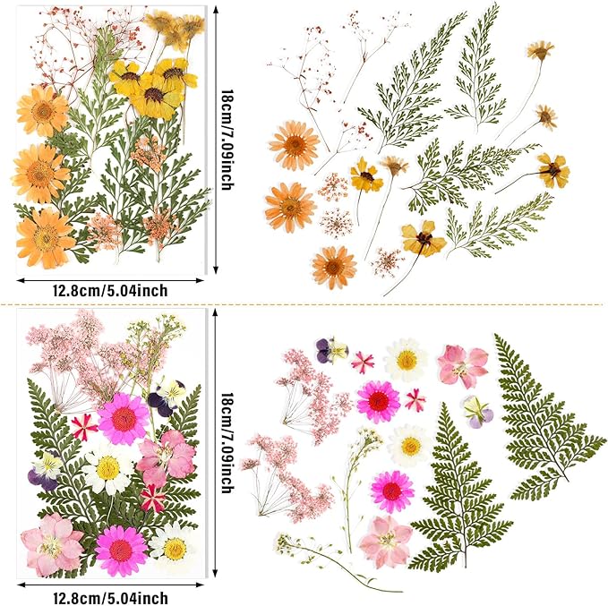 Flores Secas Prensadas Naturales Blancas para Artesanía Resina miniatura 3