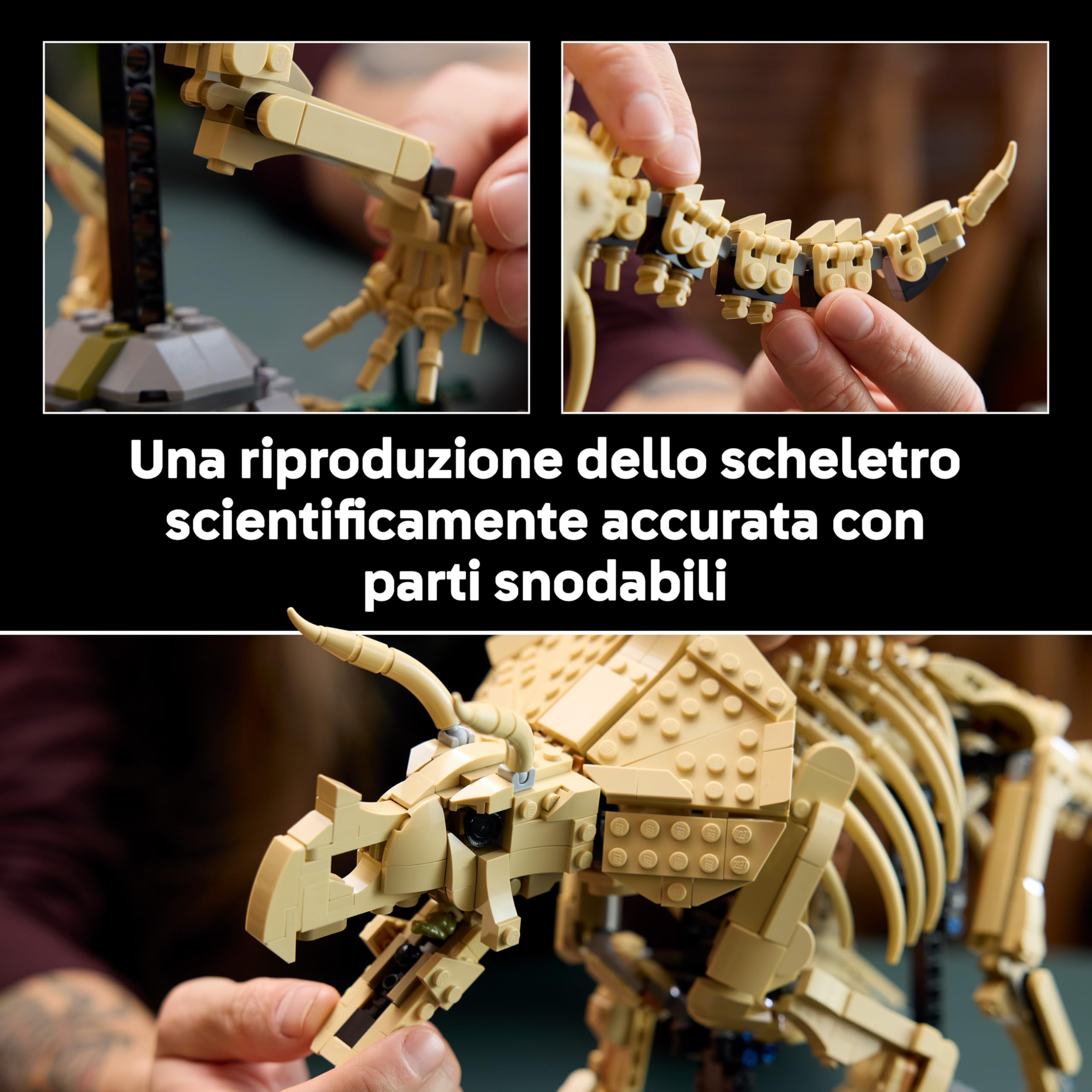 LEGO Jurassic World Fossili di Dinosauro: Triceratopo - Kit Modellismo per Adulti con Minifigure del Dr. Gerry Harding - Decorazione per Scrivania o Scaffale - Regalo per Fan di Jurassic Park - 77985