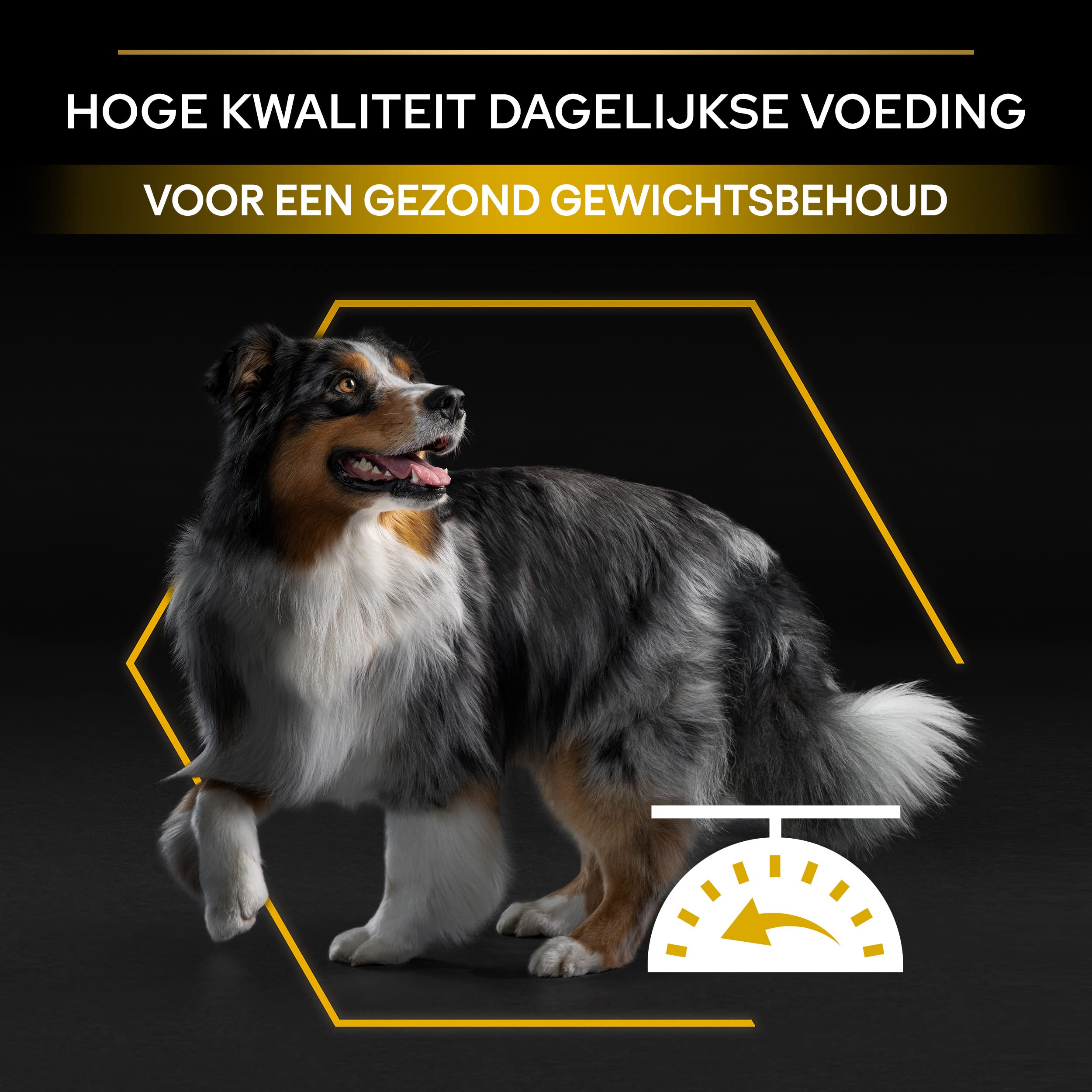 Pro Plan All Size Adult Light / Sterlised, Hundefutter trocken, reich an Huhn, 1er Pack (1 x 14 kg)