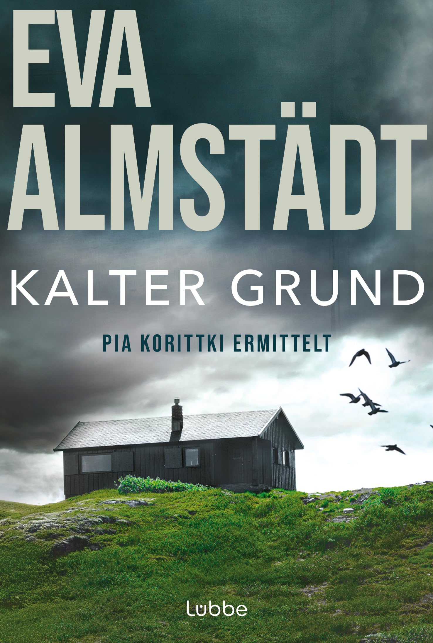 Kalter Grund: Pia Korittkis erster Fall. Kriminalroman