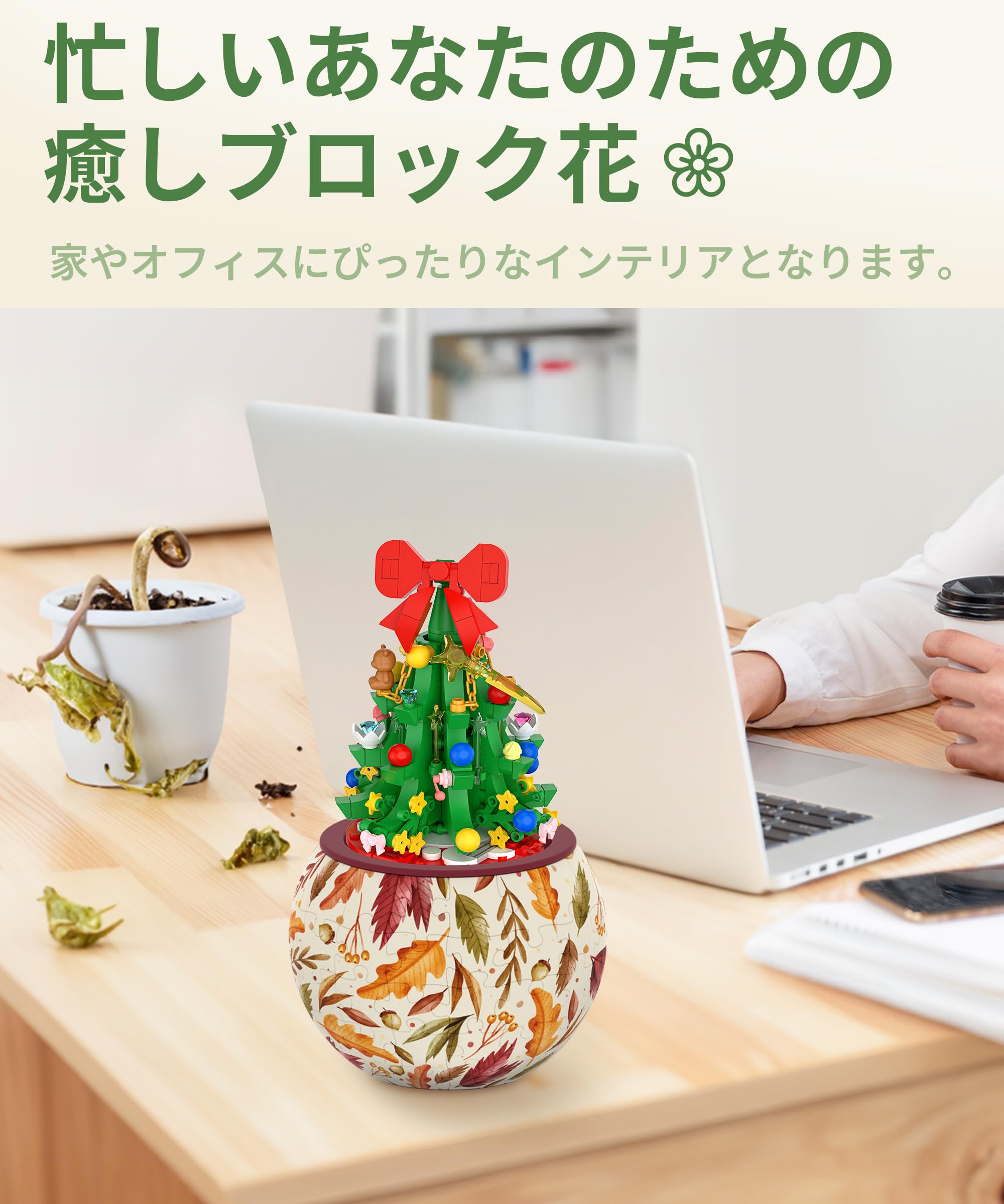 Amazon.co.jp: Pintoo: 季節限定