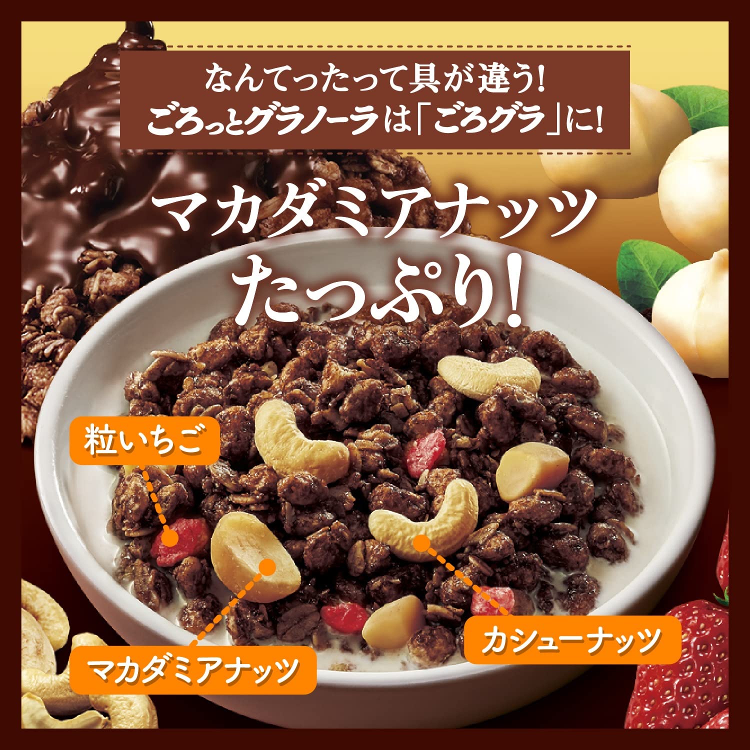 美盤　国内盤プロモ７インチ　ショコラータ　Cioccolata かの香織 Amazon.co.jp: 日清シスコ ごろグラRich カカオ香るチョコナッツ