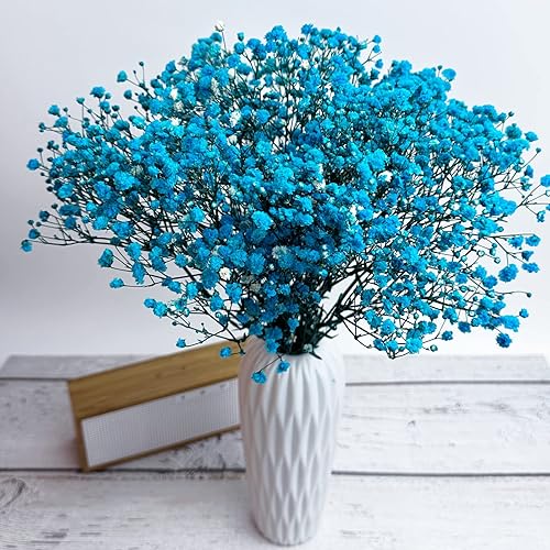 Miniatura 5 de Aliento preservado del bebé, 3 racimos, 100% natural de gypsophila fresca, flores de larga duración para arreglos de jarrón, decoración del hogar,