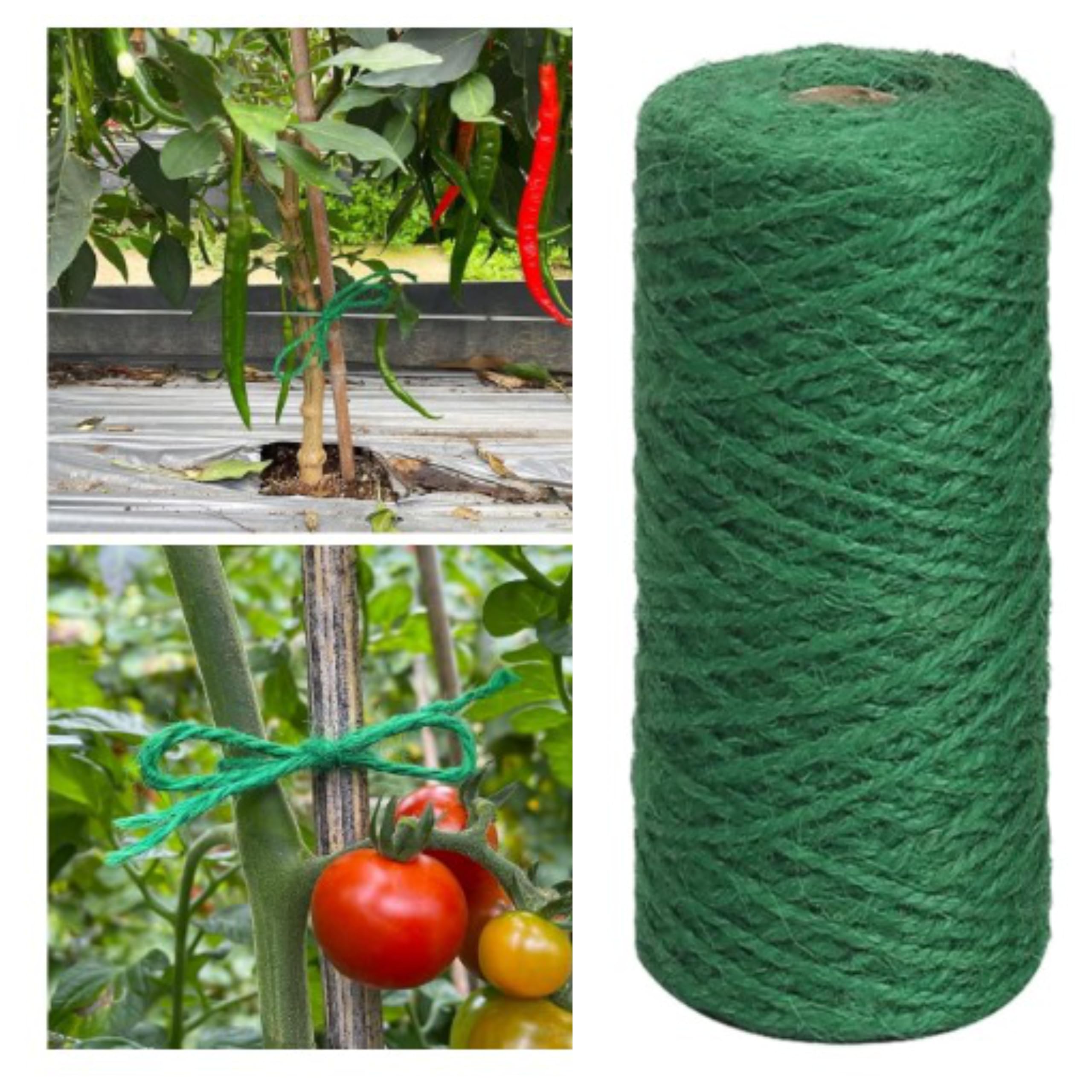 Garden Twine, 100 Mtr 2Mm Green Plant Ties, Strong Jute Twine String for Climbing Plants, Tomatoes, Crafts and Decoration, TrellISIng Wire for Home (2Mm, 100M) (Green Jute DORI 100 Meter 1 PCS)-image-11