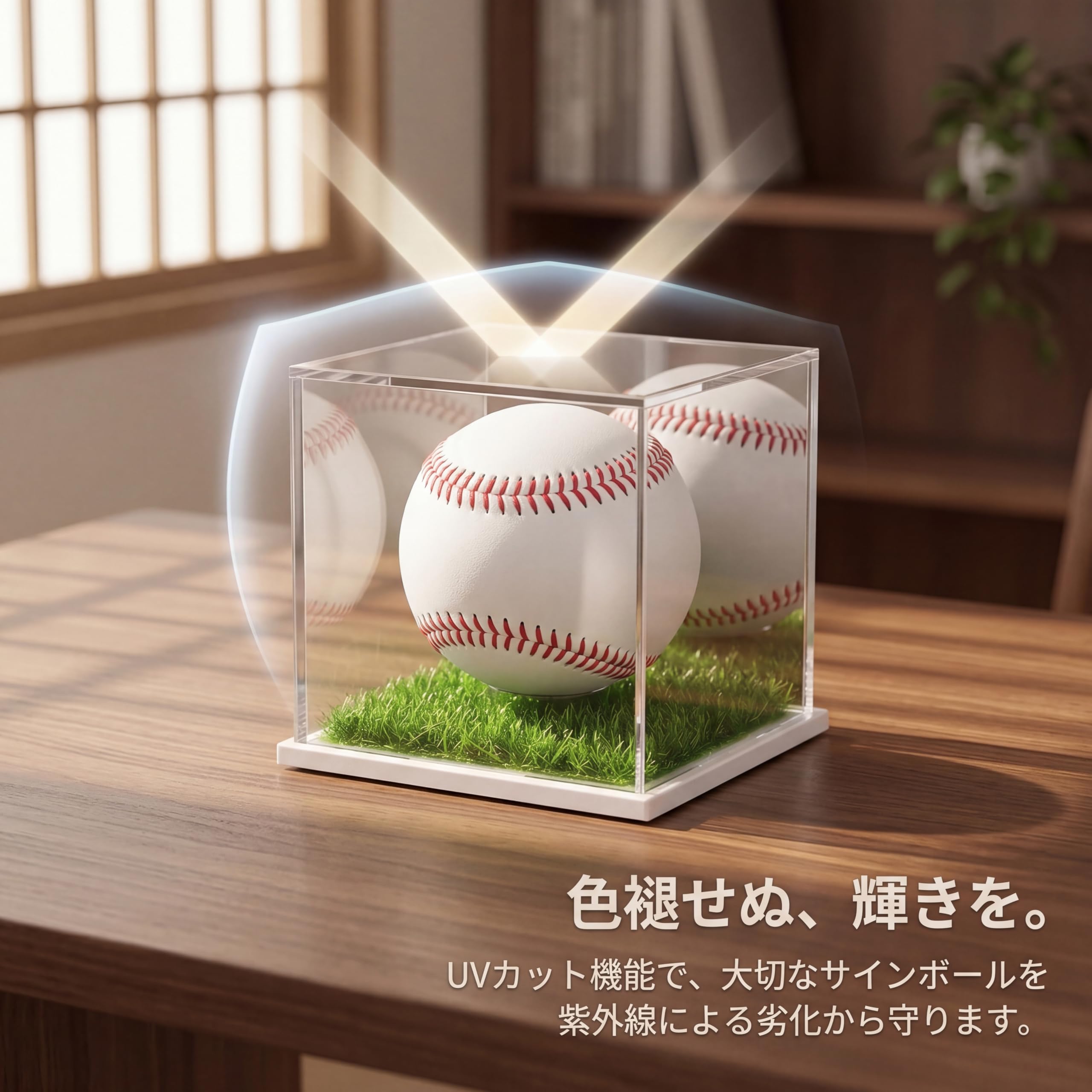 野球サインボール　まとめ　野球グッズ　コレクターグッズ　サインボールコレクション ≪ 野球 サインボール コレクションケース 12個収納タイプ ≫ 野球